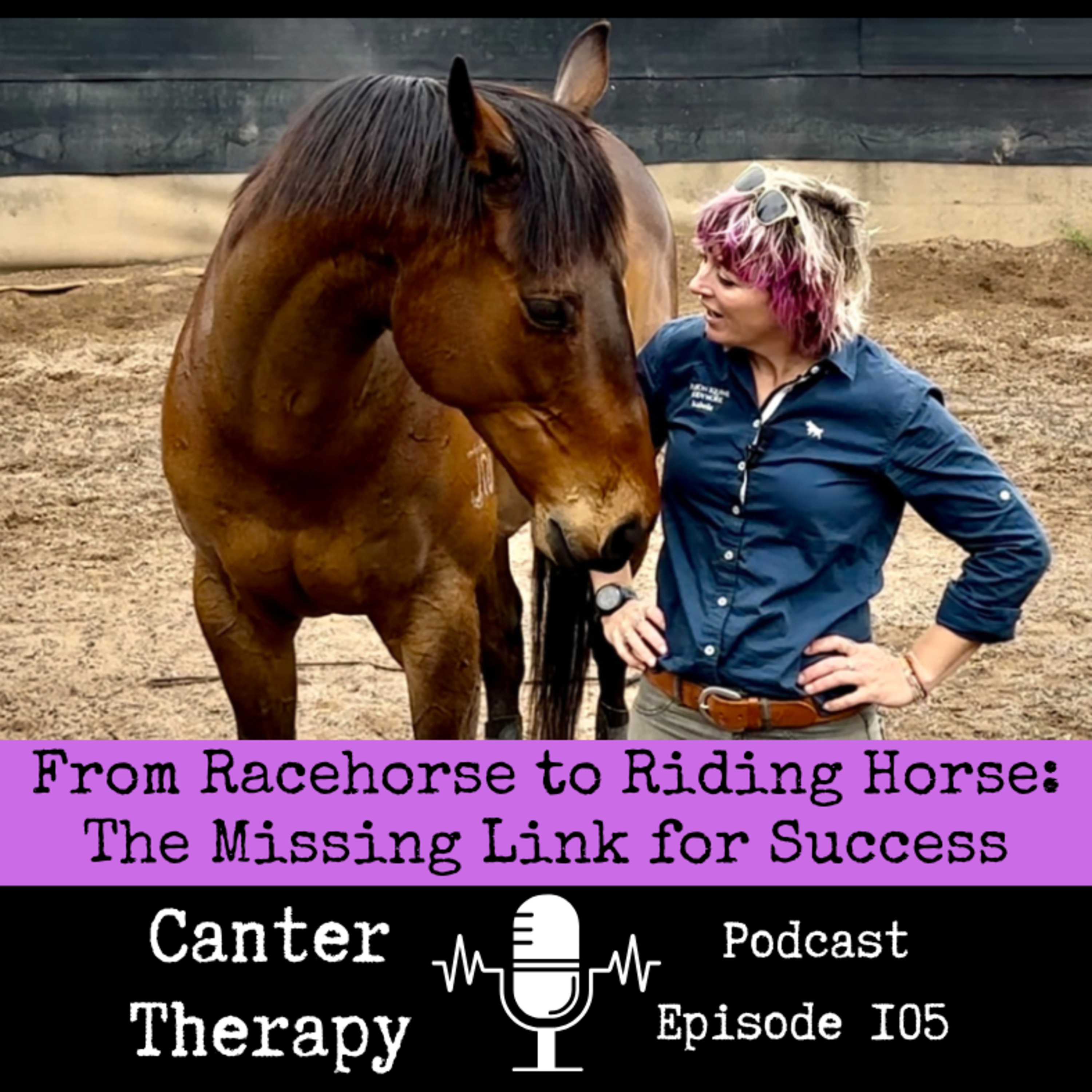 105. From Racehorse to Riding Horse: The Missing Link for Success episode artwork