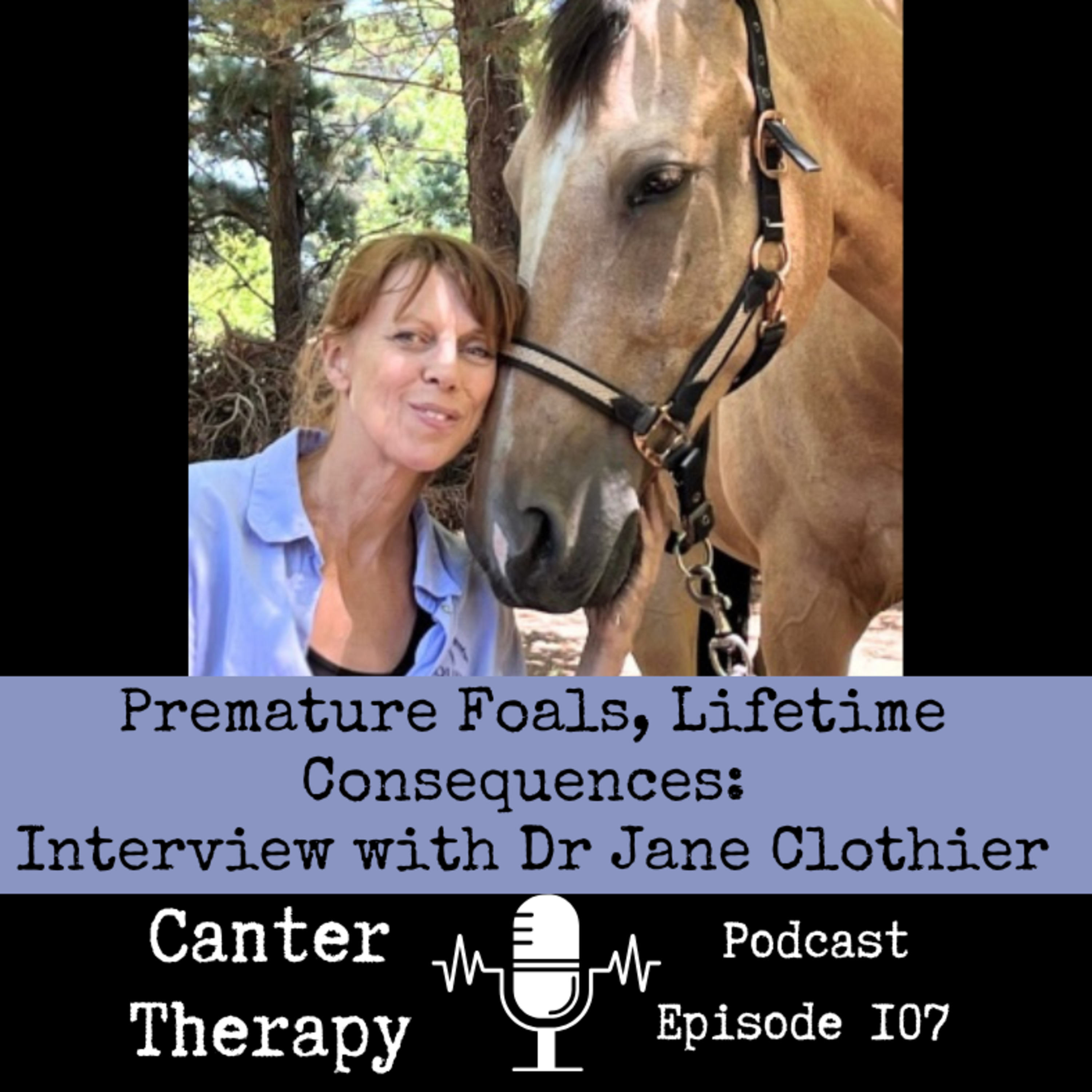 107. Premature Foals, Lifetime Consequences: Interview with Dr Jane Clothier