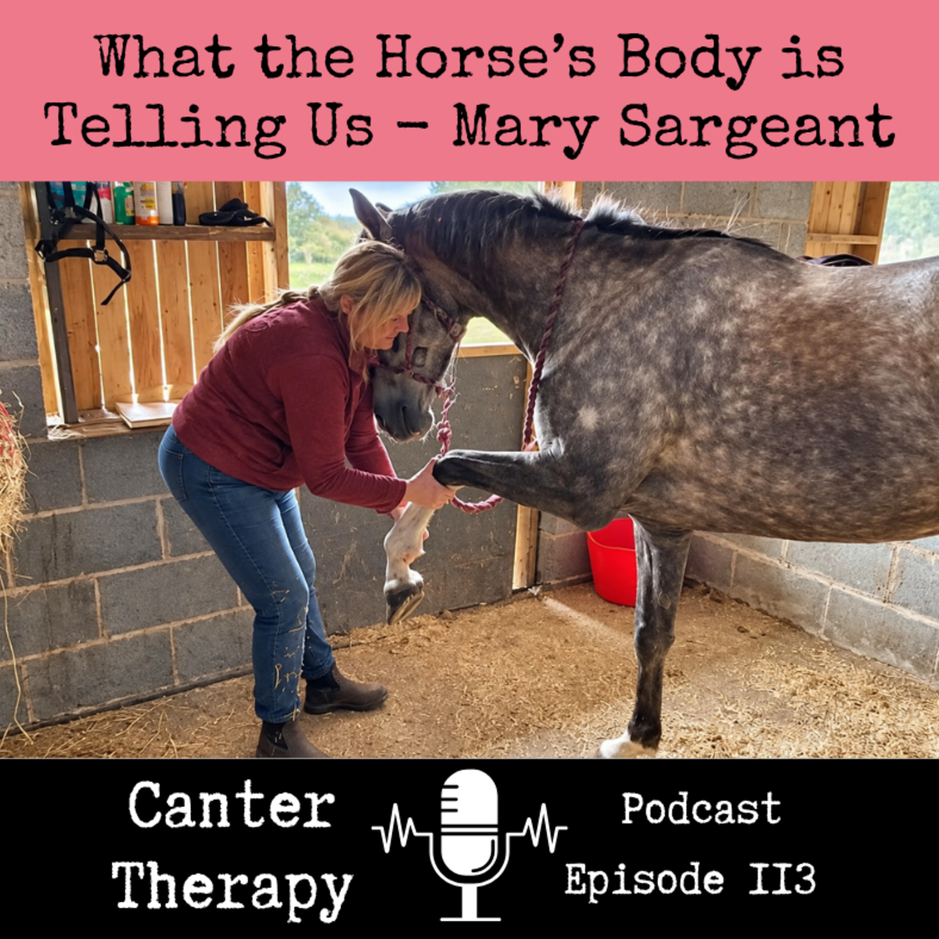 113. What the Horse’s Body is Telling Us – Interview with Mary Sargeant