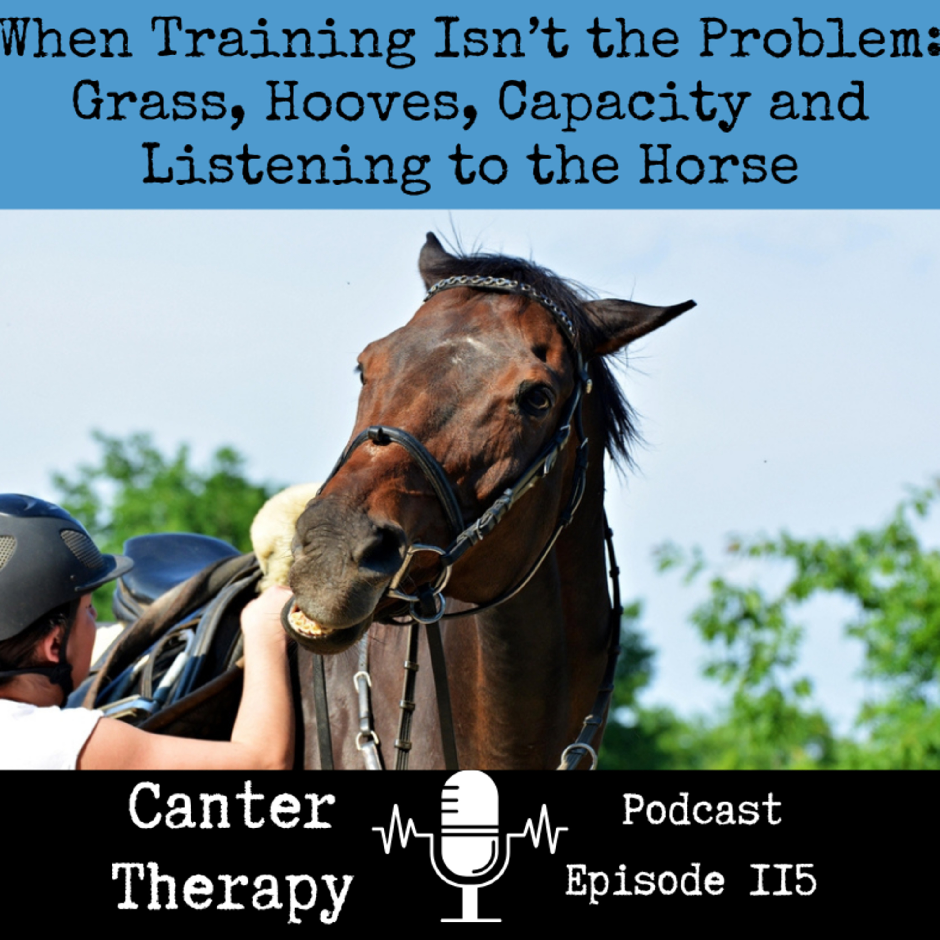 115. When Training Isn’t the Problem: Grass, Hooves, Capacity and Listening to the Horse