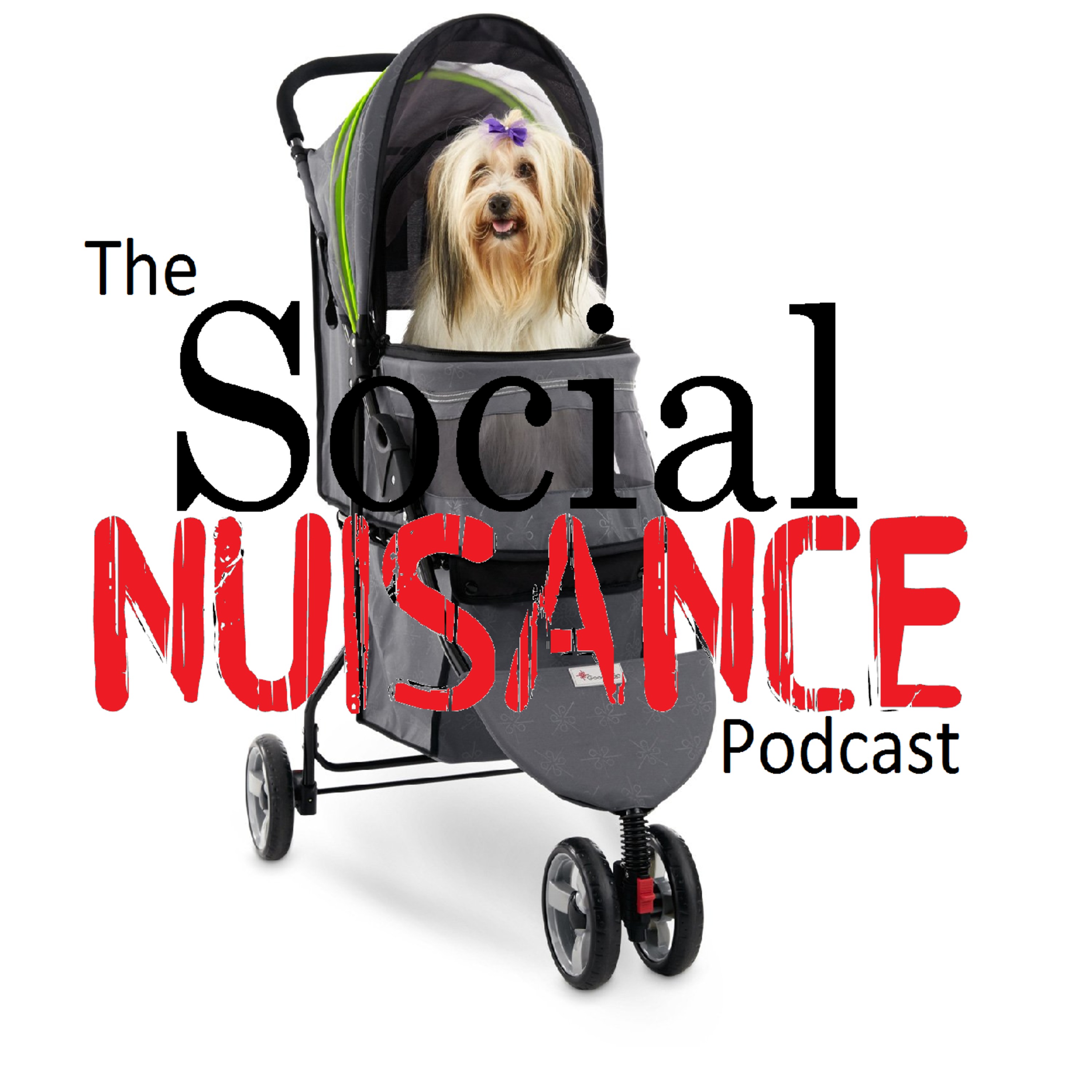017 - Words Matter, Fathers Day & Fur Babies episode artwork