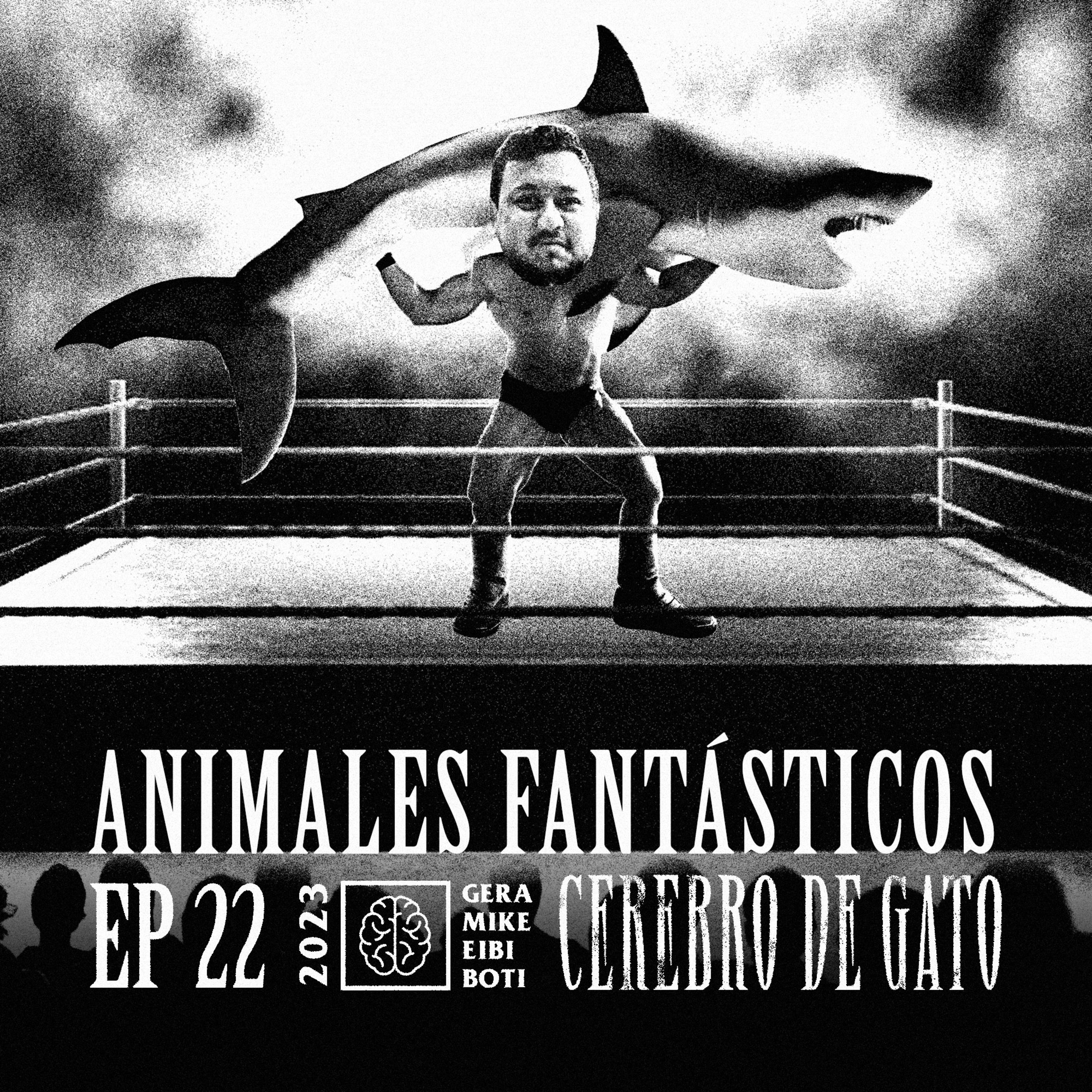 Cerebro De Gato - Episodio 22 - Animales Fantásticos episode artwork