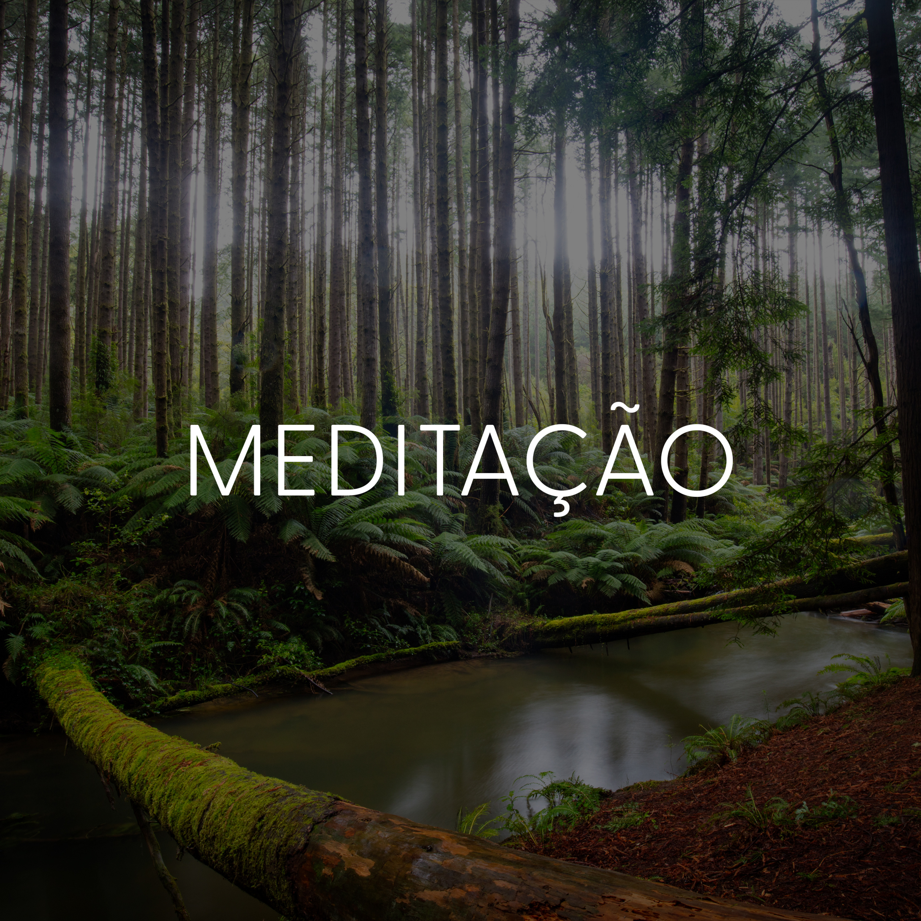 Projeto Meditar por Pedro Engler