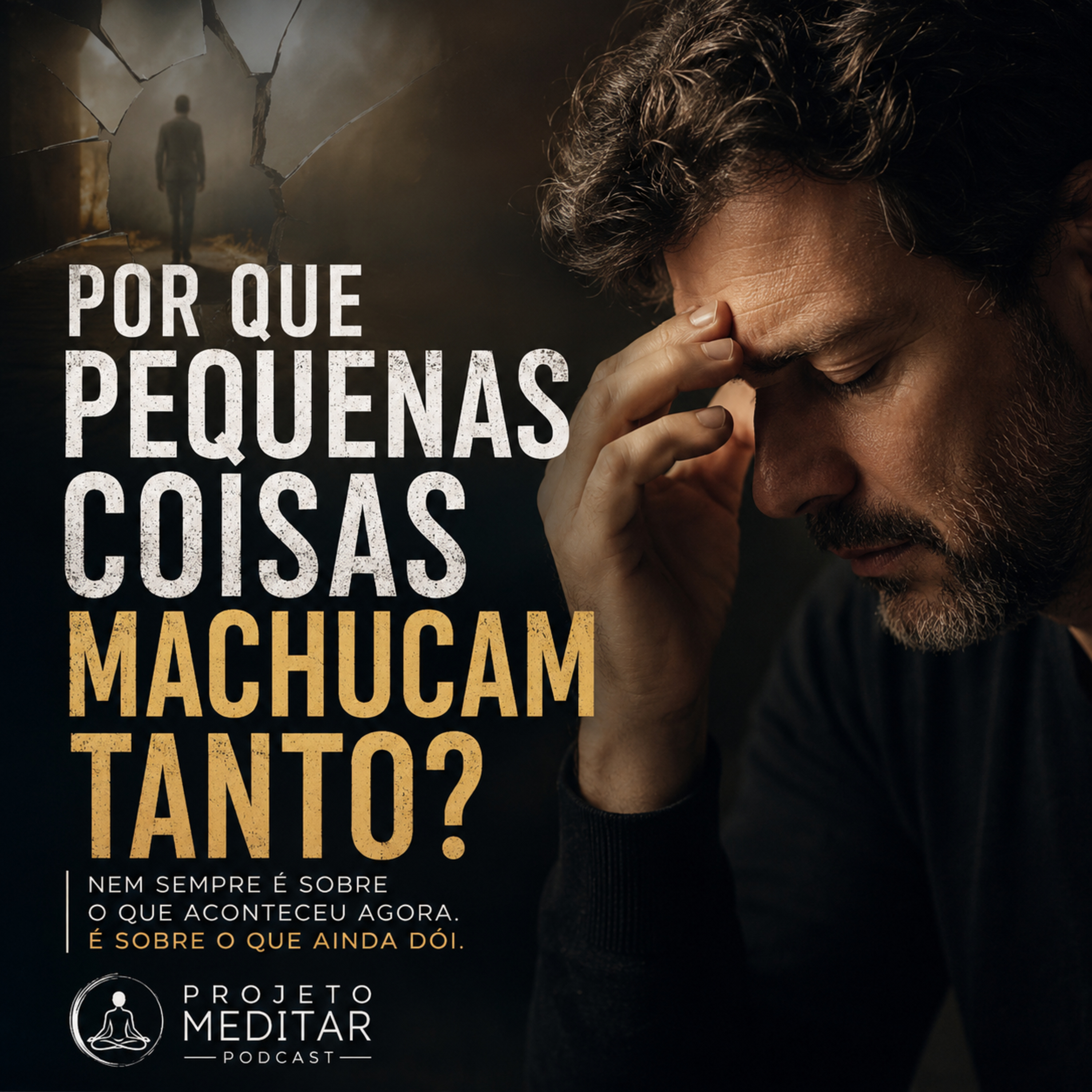 Por Que Pequenas Coisas Machucam Tanto? episode artwork