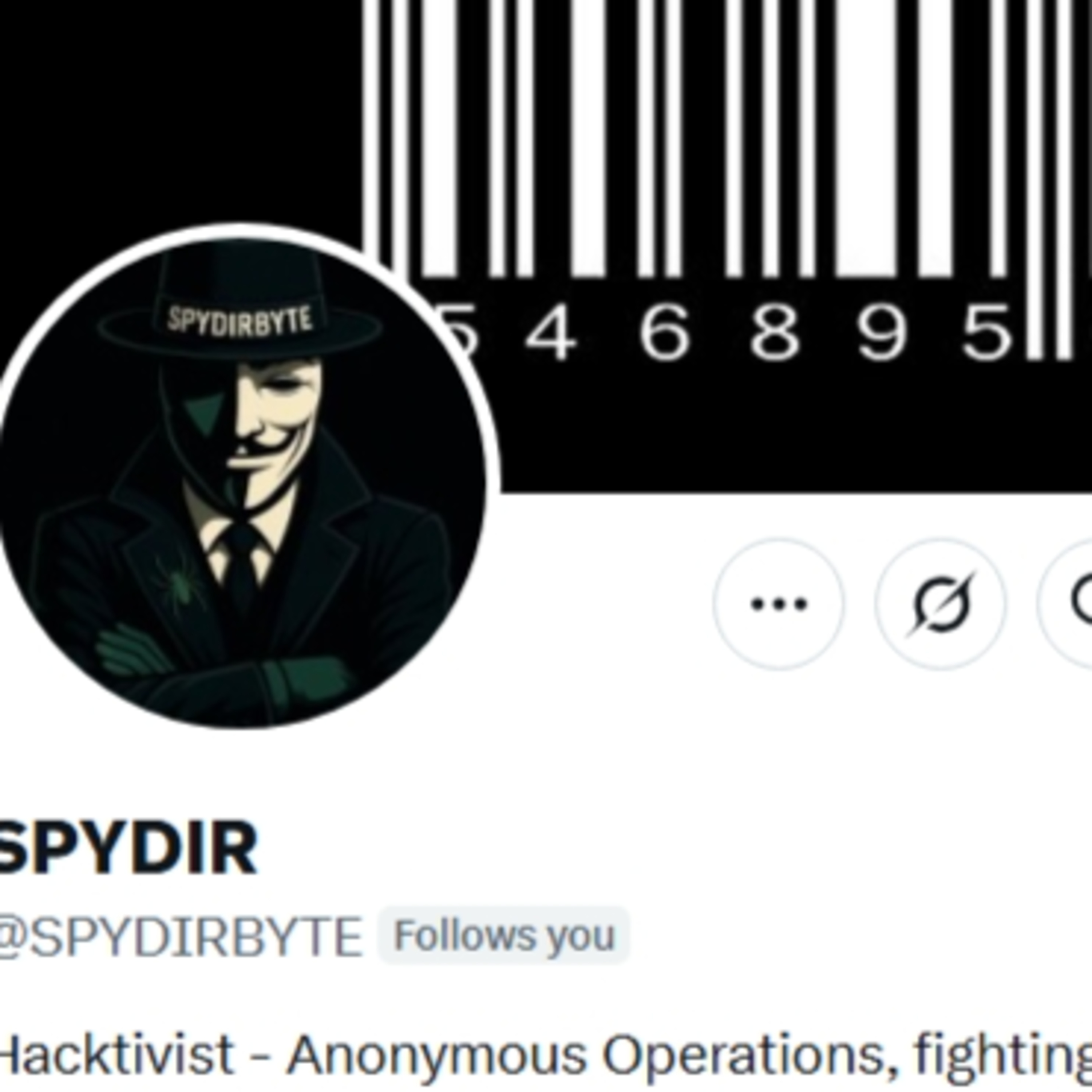 Spydirbyte: From Trauma to Cyber Vigilante - Unpacking an Anonymous Legend