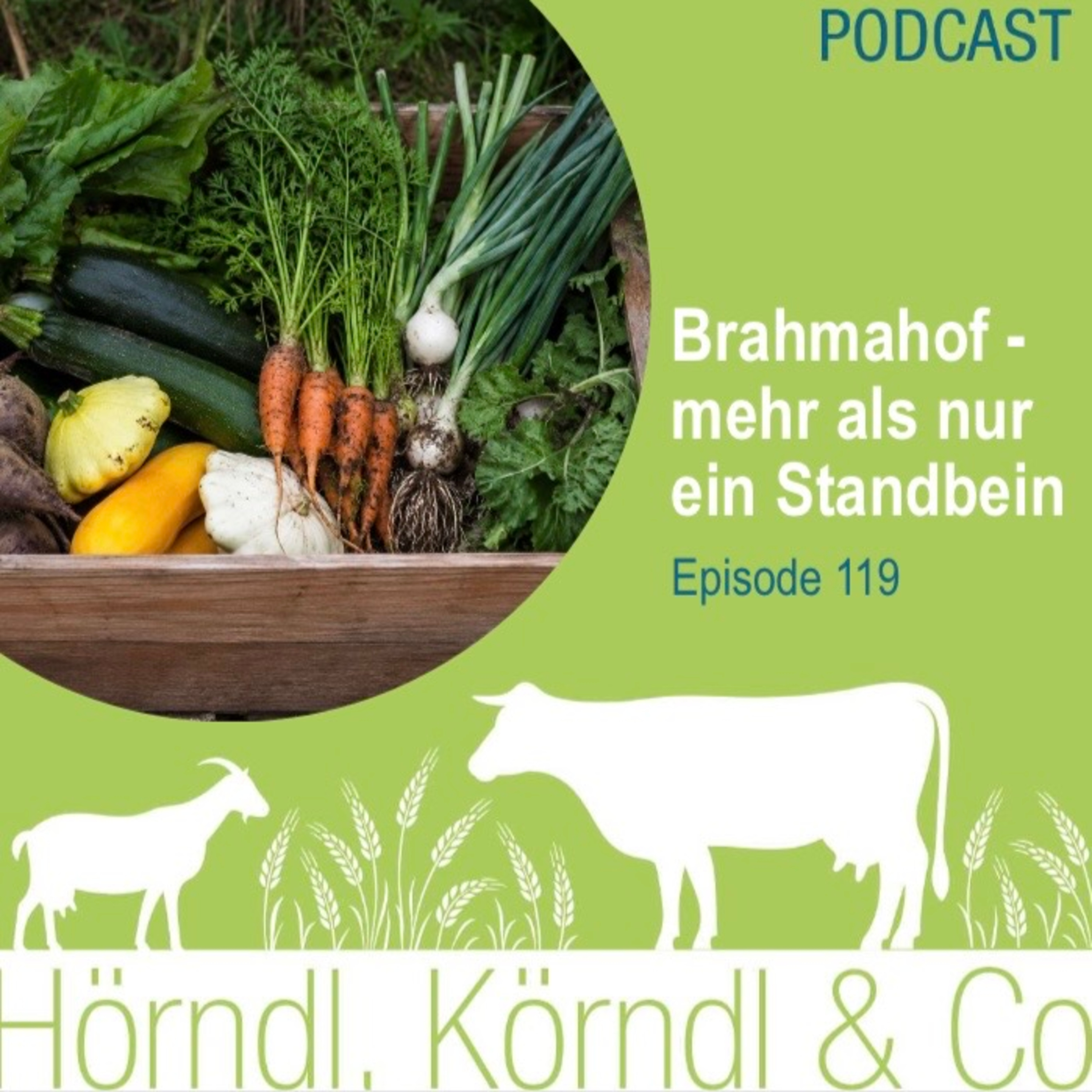 Episode 119: Brahmahof - mehr als nur ein Standbein episode artwork