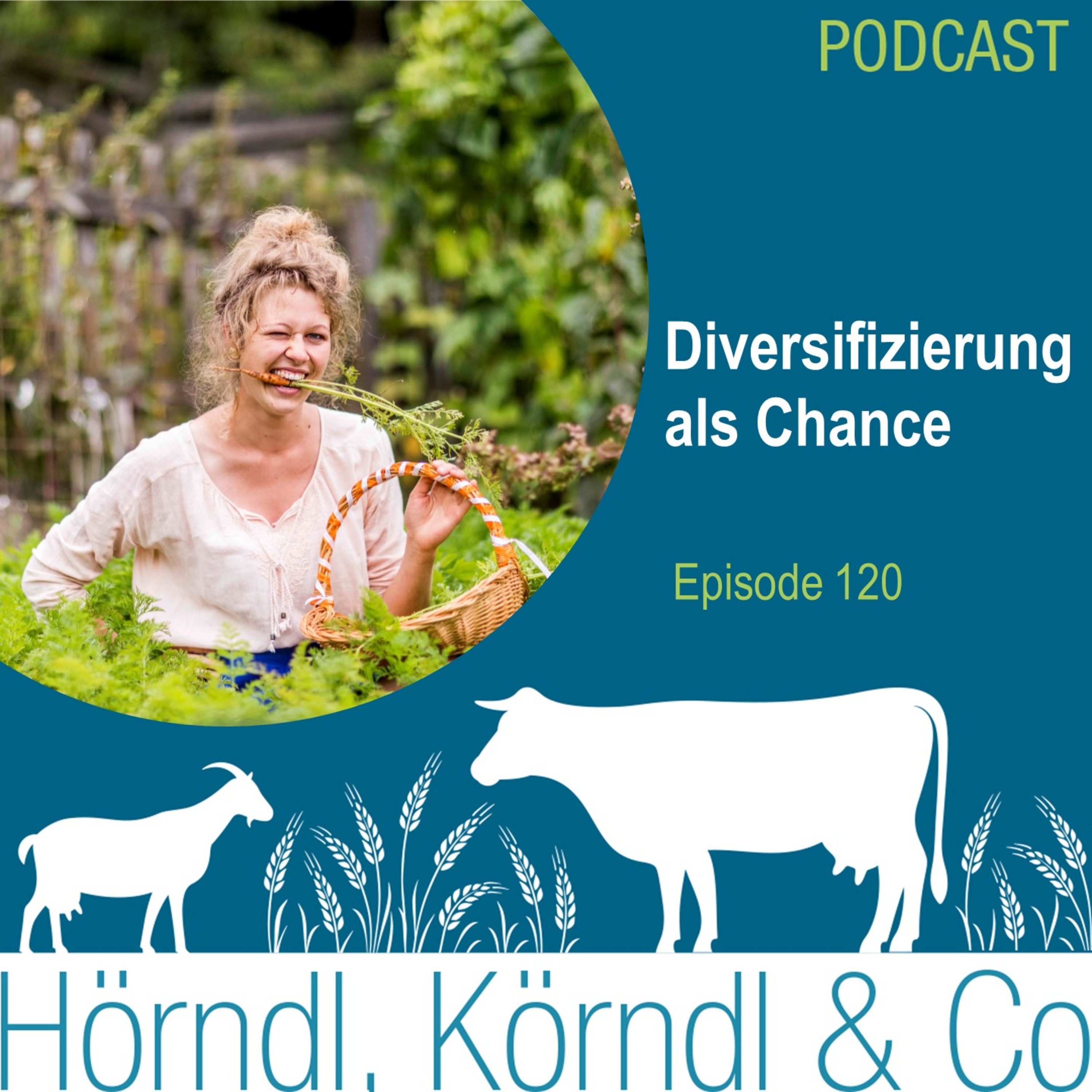 Episode 120: Diversifizierung als Chance episode artwork