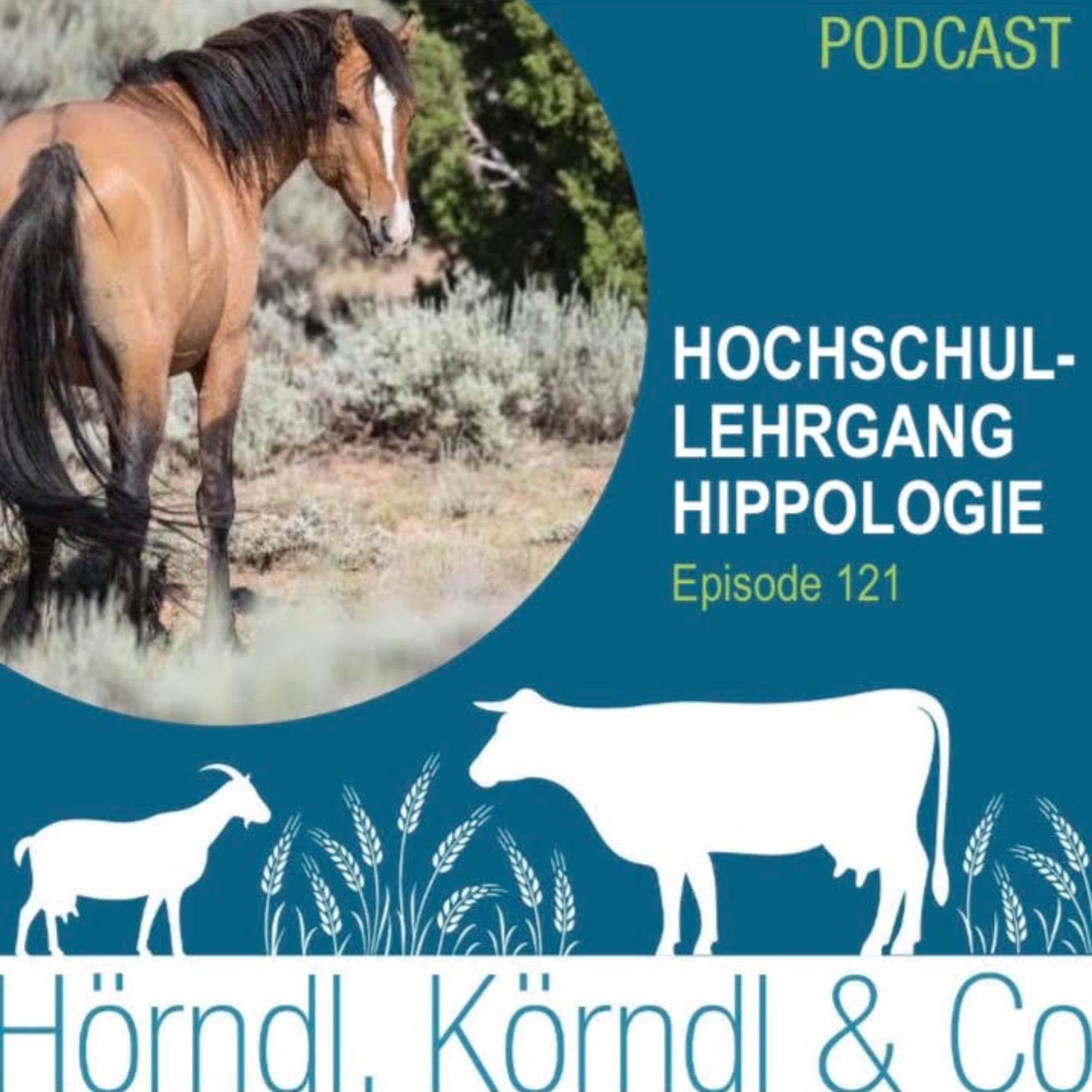 Episode 121: Hochschullehrgang Angewandte Hippologie episode artwork