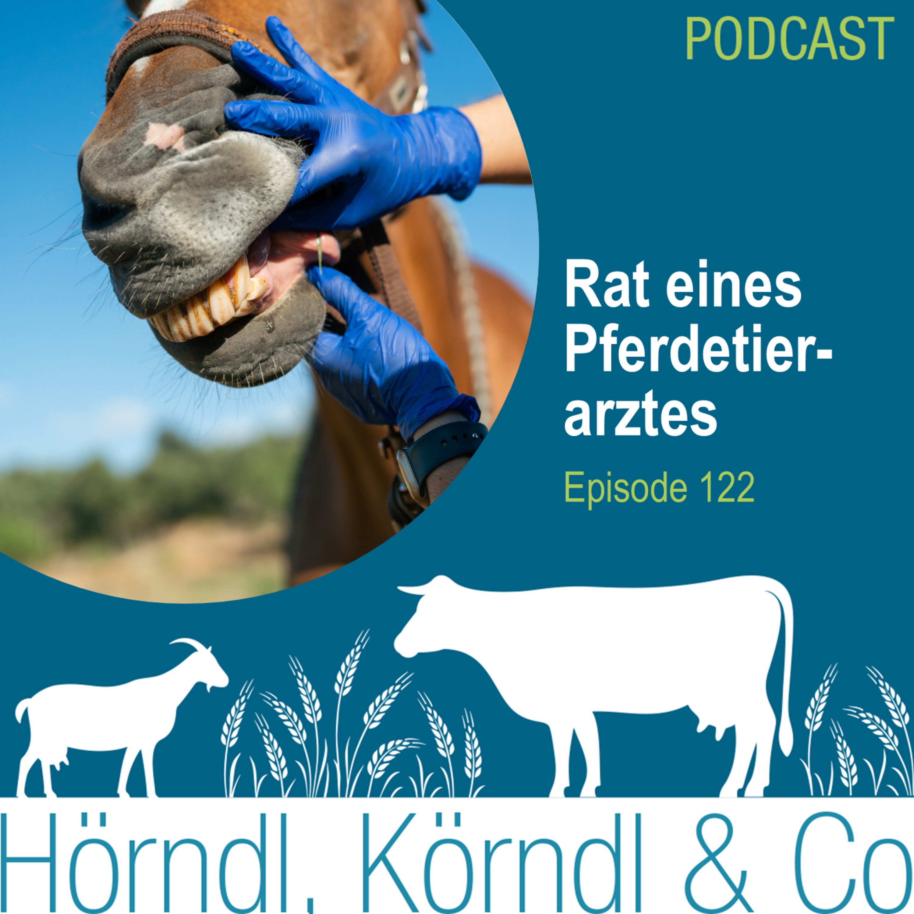 Episode 122: Praxis Pferde-Tierarzt episode artwork