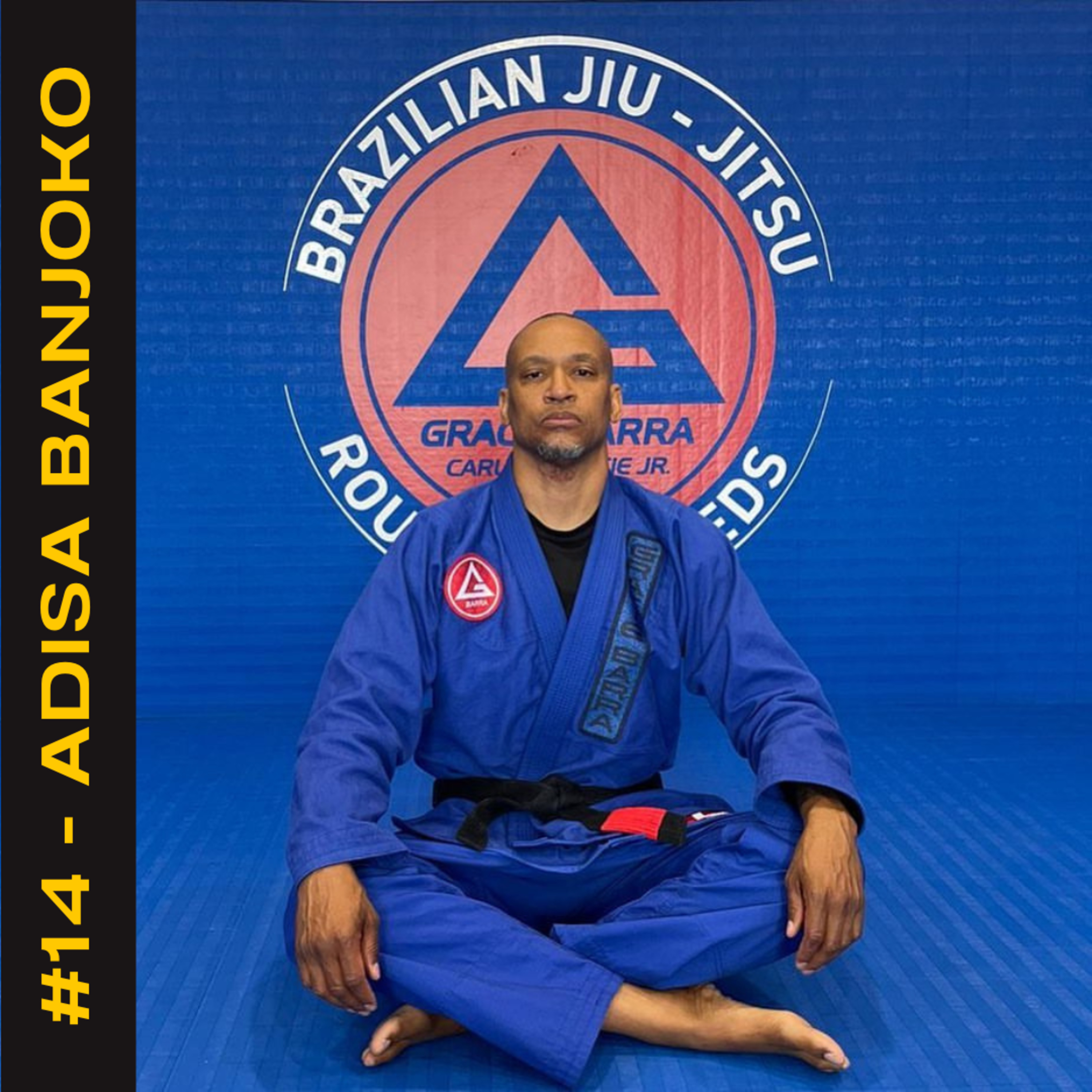 The Vonfitbjj_ Podcast