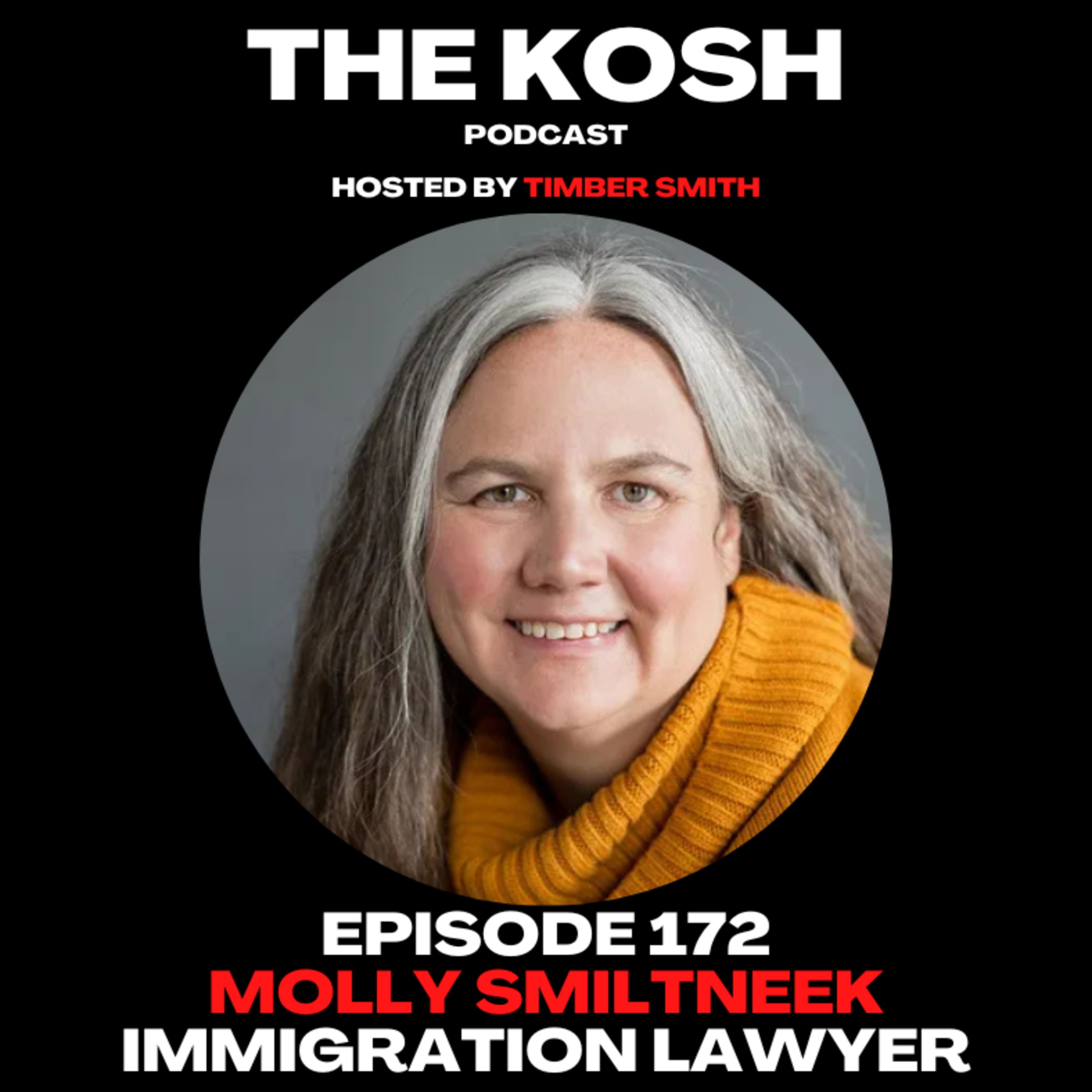 Episode 172: Molly Smiltneek - Immigration Lawyer
