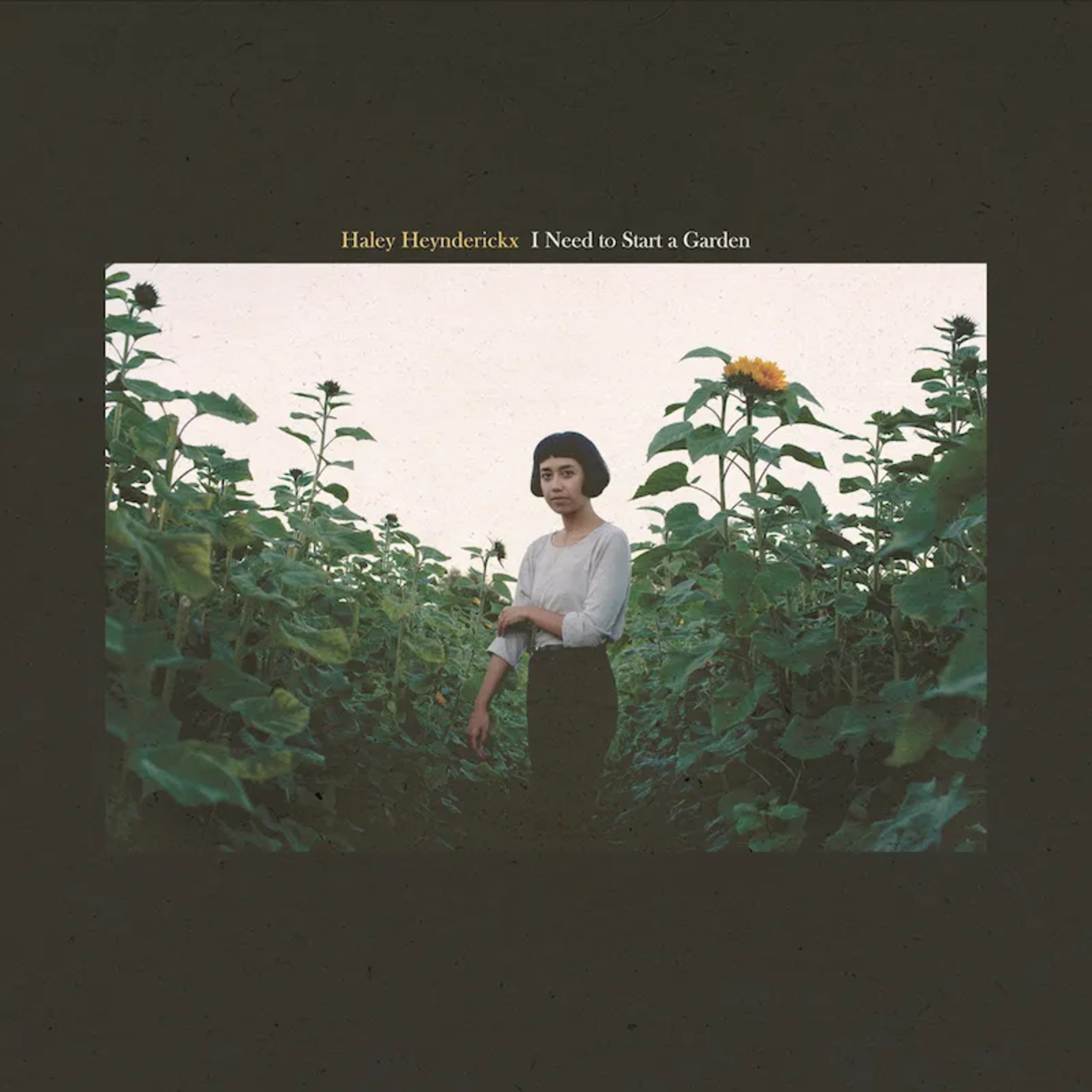 No. 29 - I Need to Start a Garden by Haley Heynderickx (2018) episode artwork