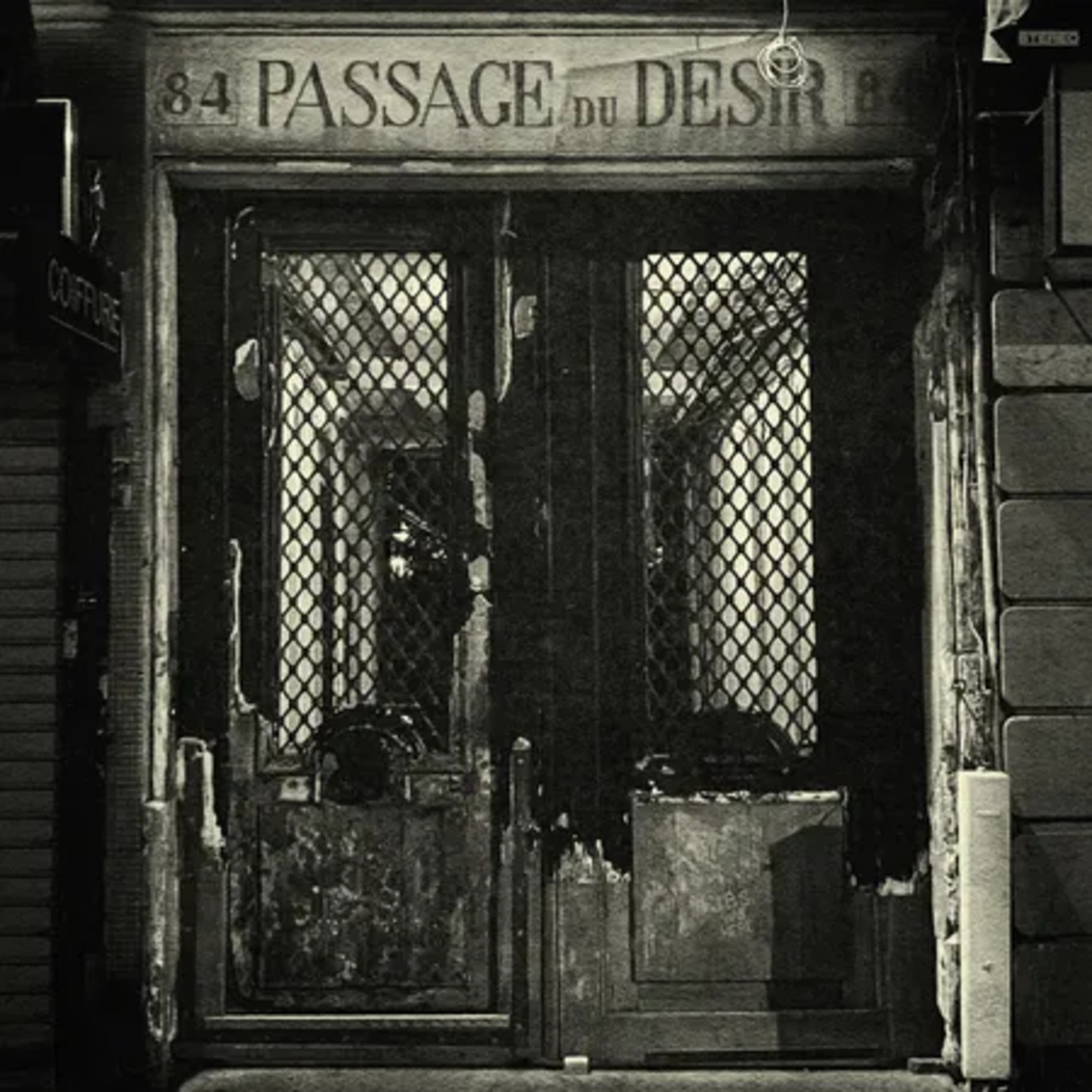 No. 53 - Passage Du Desir by Johnny Blue Skies (aka Sturgill Simpson) (2024) episode artwork