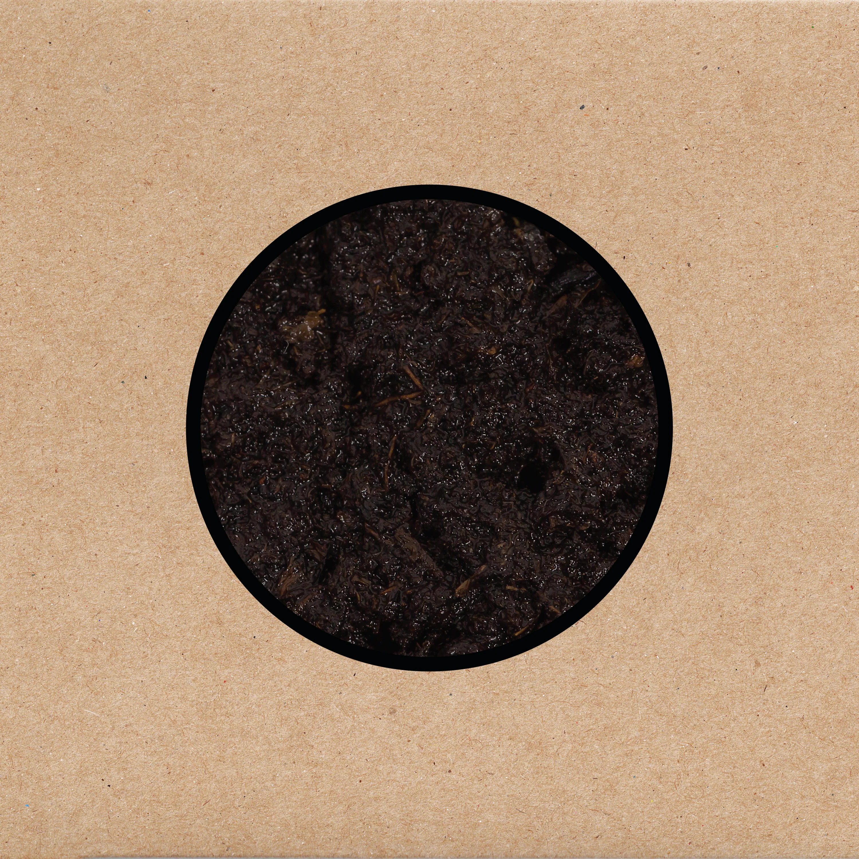 No. 109 - Birthing by Swans (2025) episode artwork