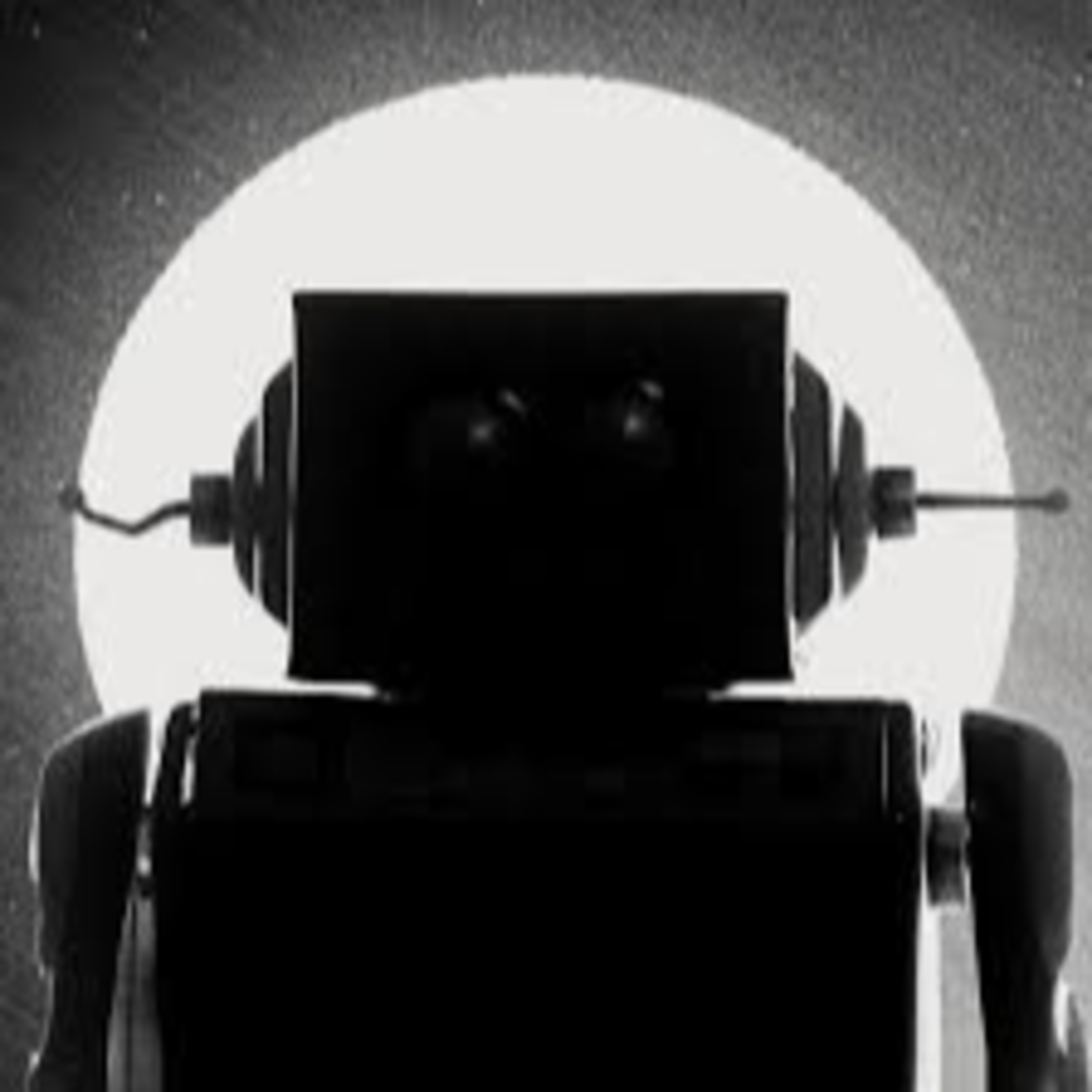 flimmern&rauschen: 80 Kurzfilme in 3 Tagen episode artwork