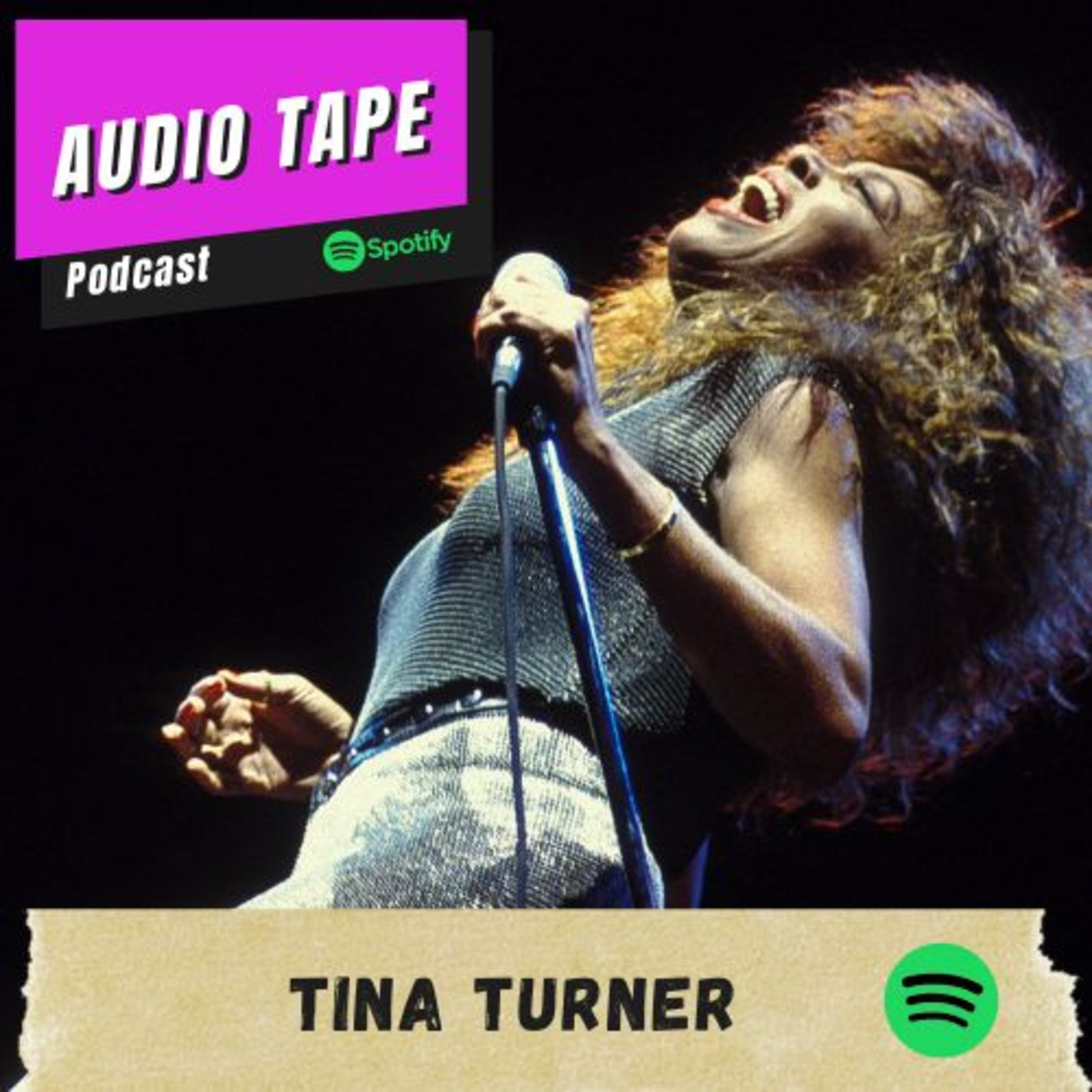 cover of episode Tina Turner