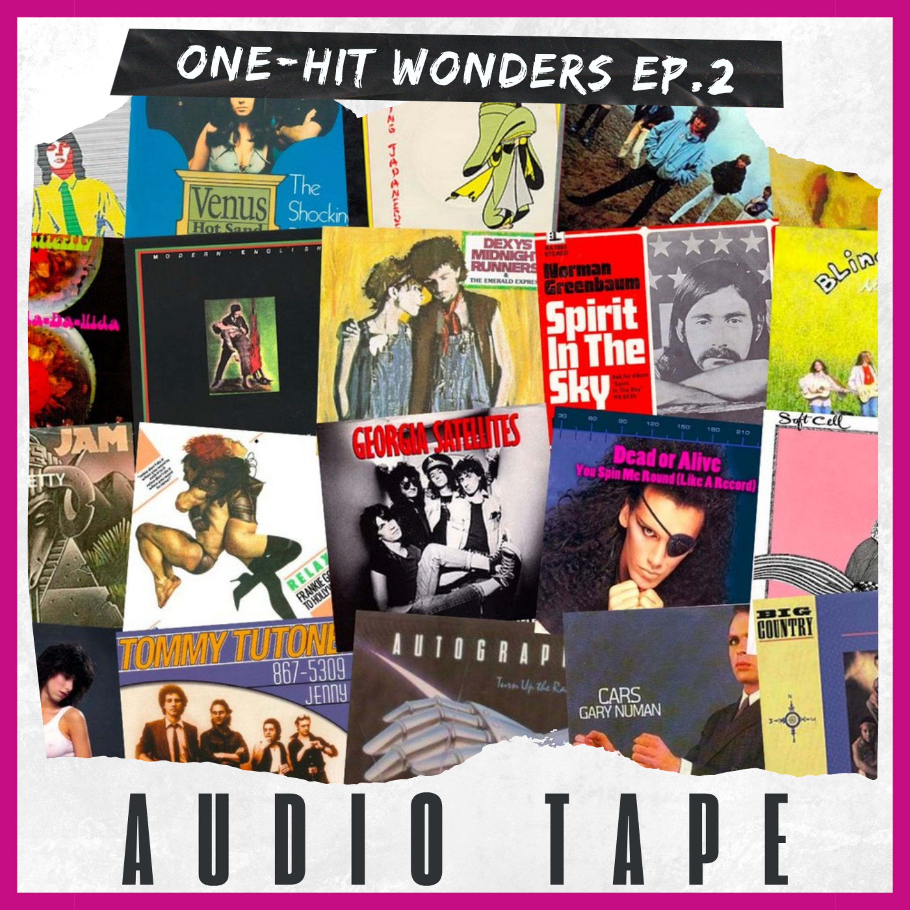 cover of episode One-Hit Wonders Ep.2