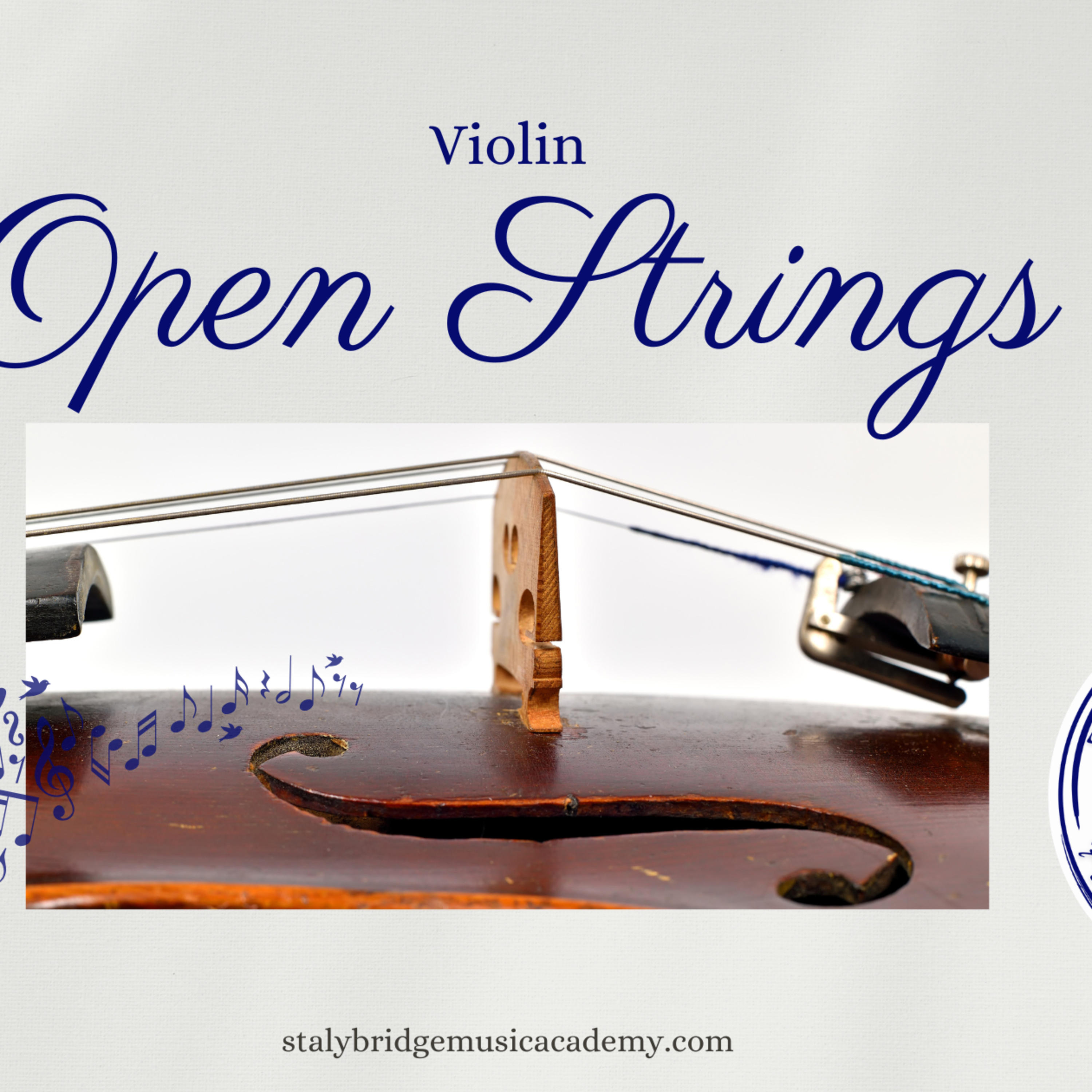 Playing the Open Strings on a Violin episode artwork