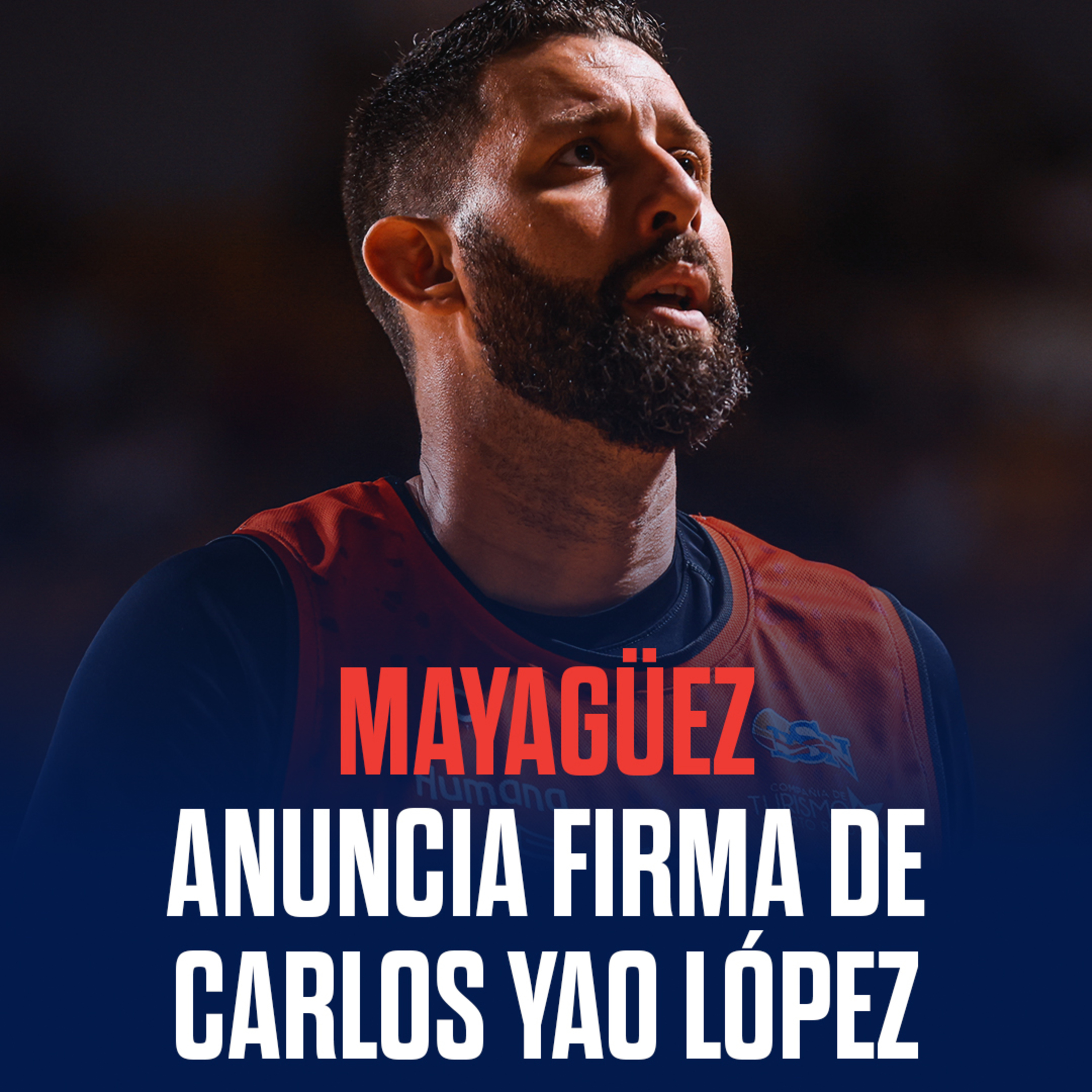 Portada de 12 Magnificos