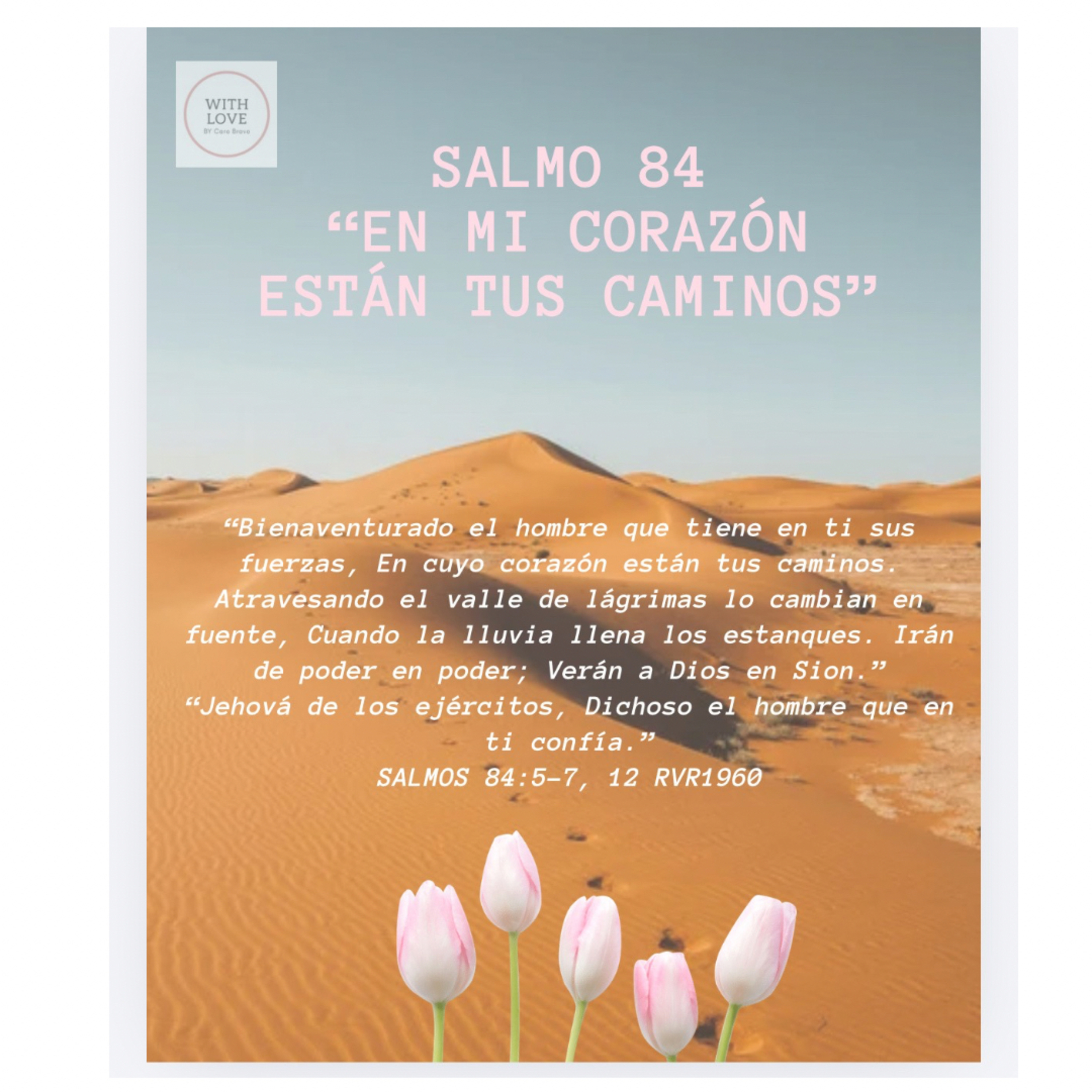 Salmo 84 “En mi corazón están tus caminos” episode artwork