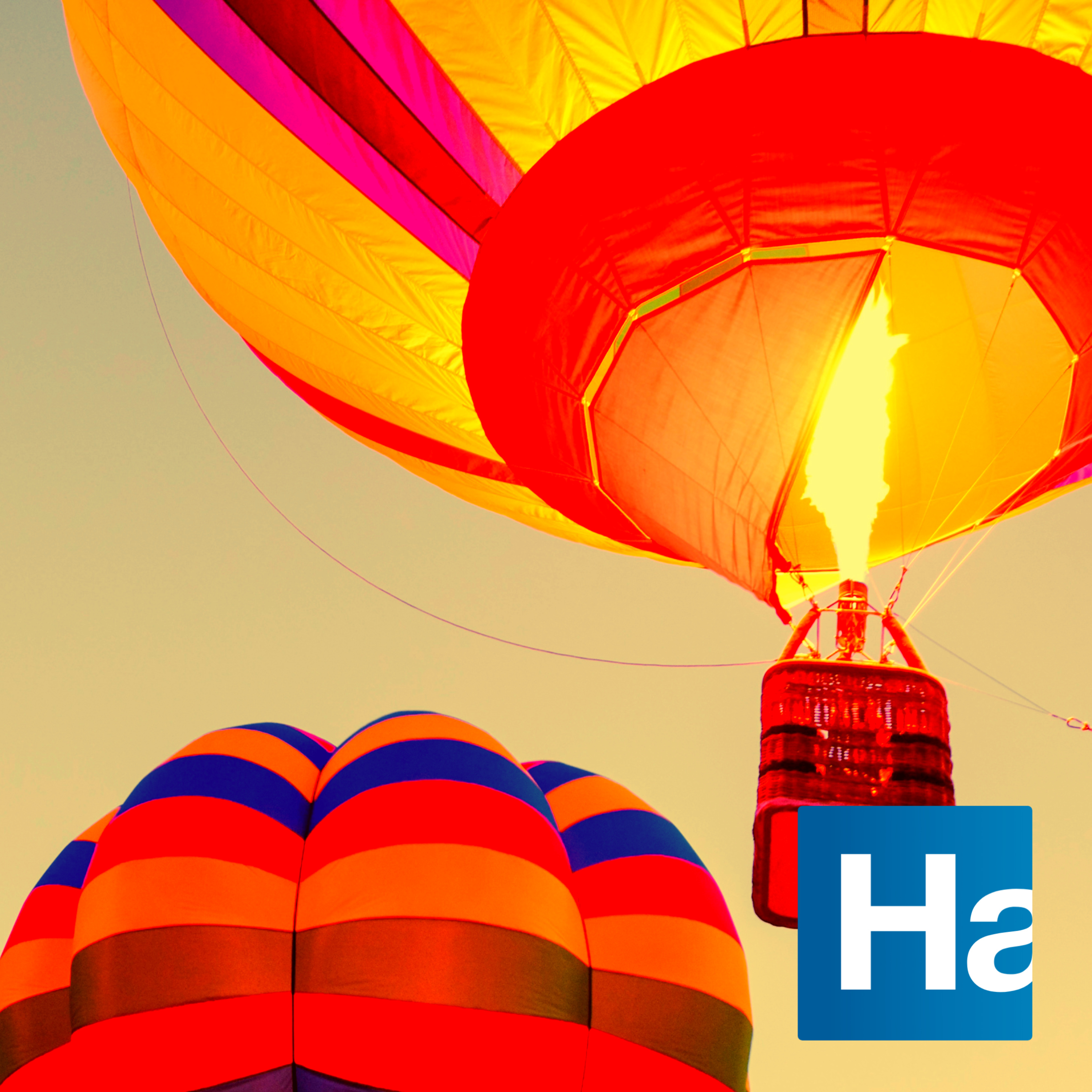 Handelsbanken Insights Economic Update