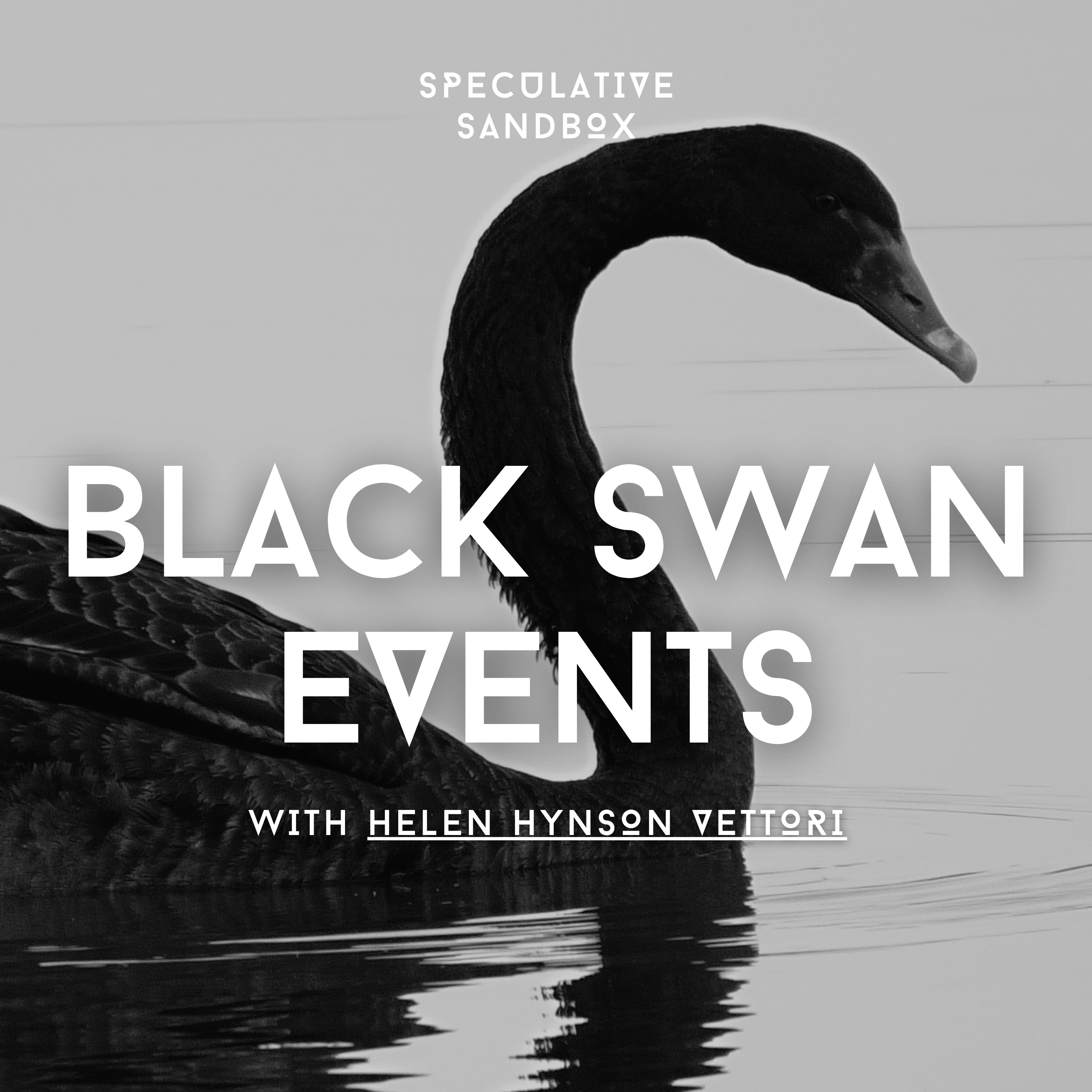 84. Black Swan Events
