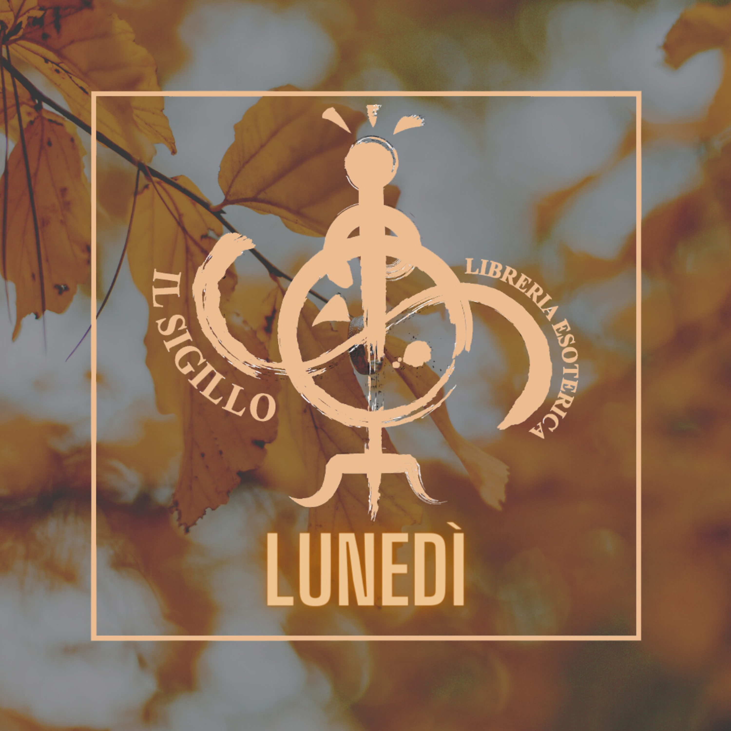 I Consigli del Lunedì: Cristina di Svezia e il suo Cenacolo Alchemico di Anna Maria Partini episode artwork