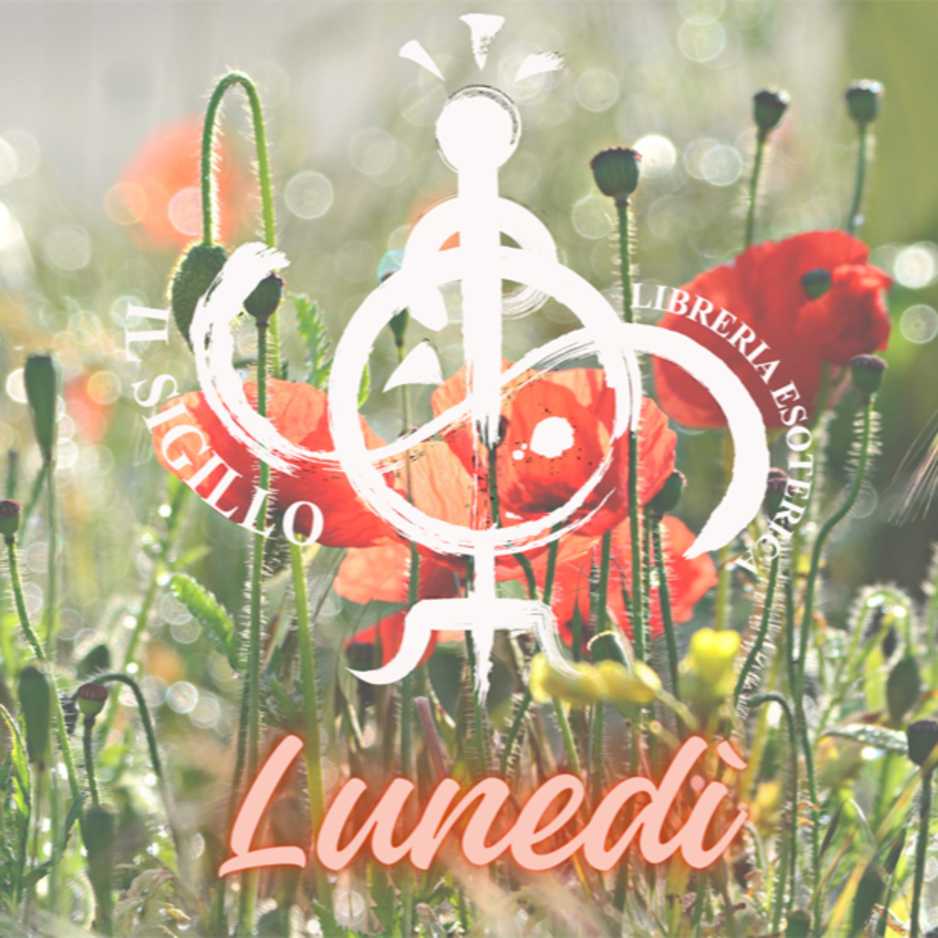I consigli del Lunedì: Il compendio di Midgard episode artwork