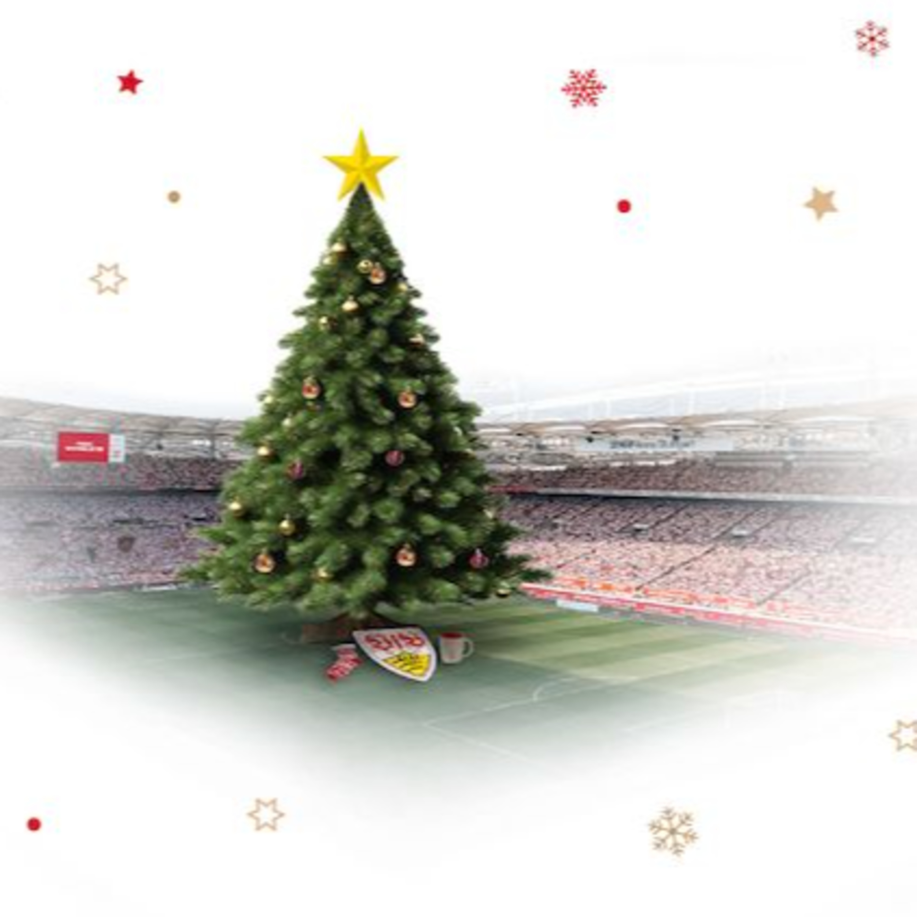 VfB Stuttgart Americana