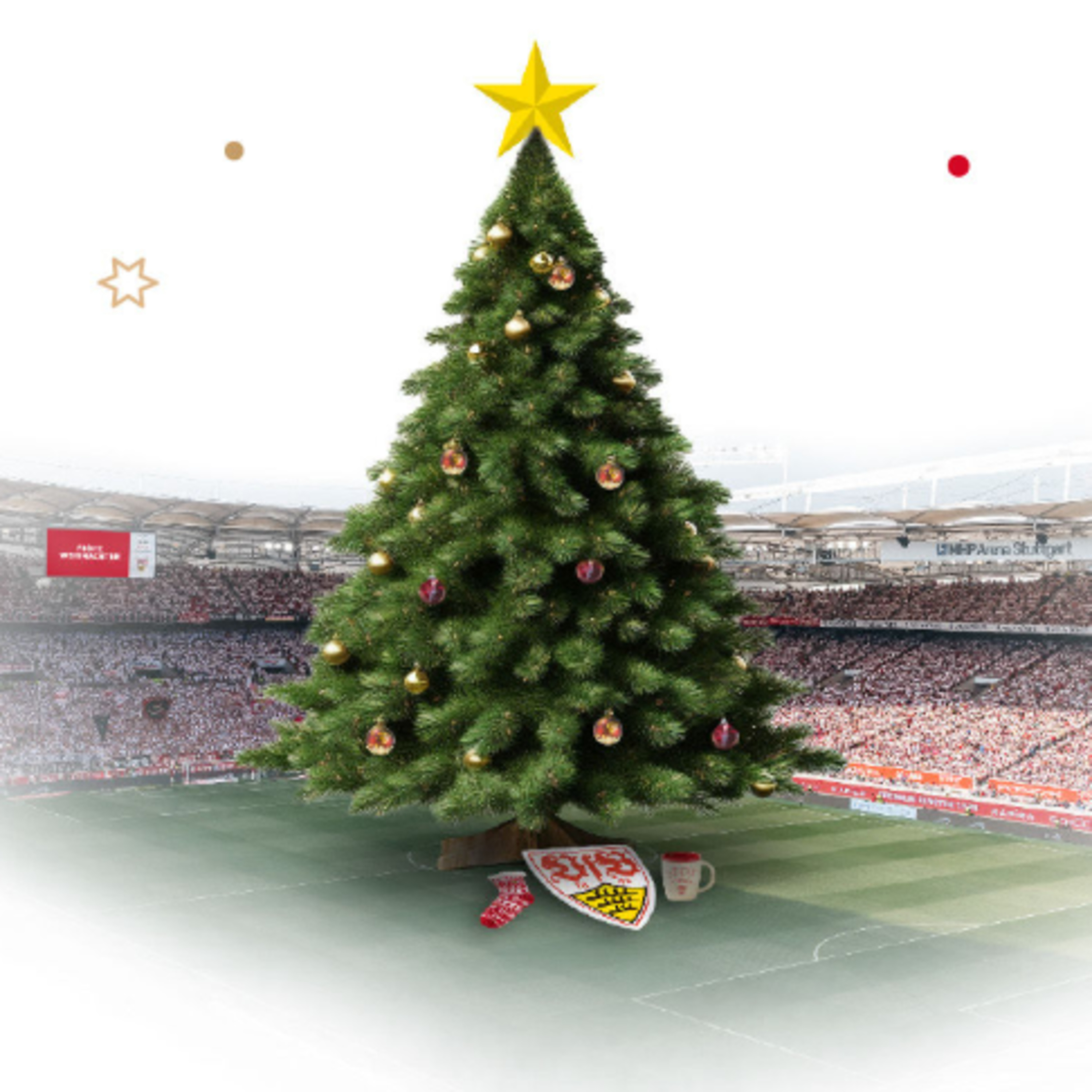 VfB Stuttgart Americana