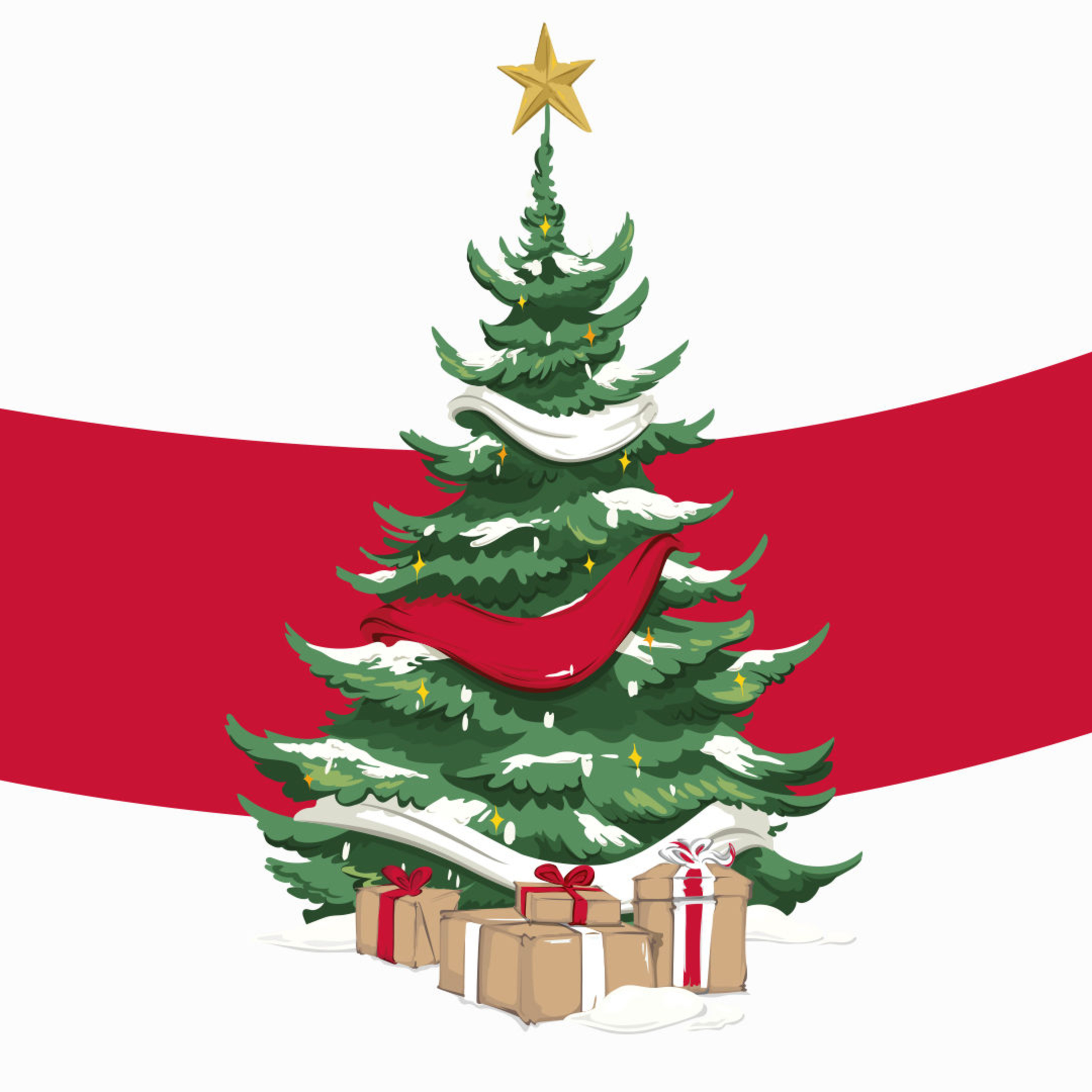 VfB Stuttgart Americana