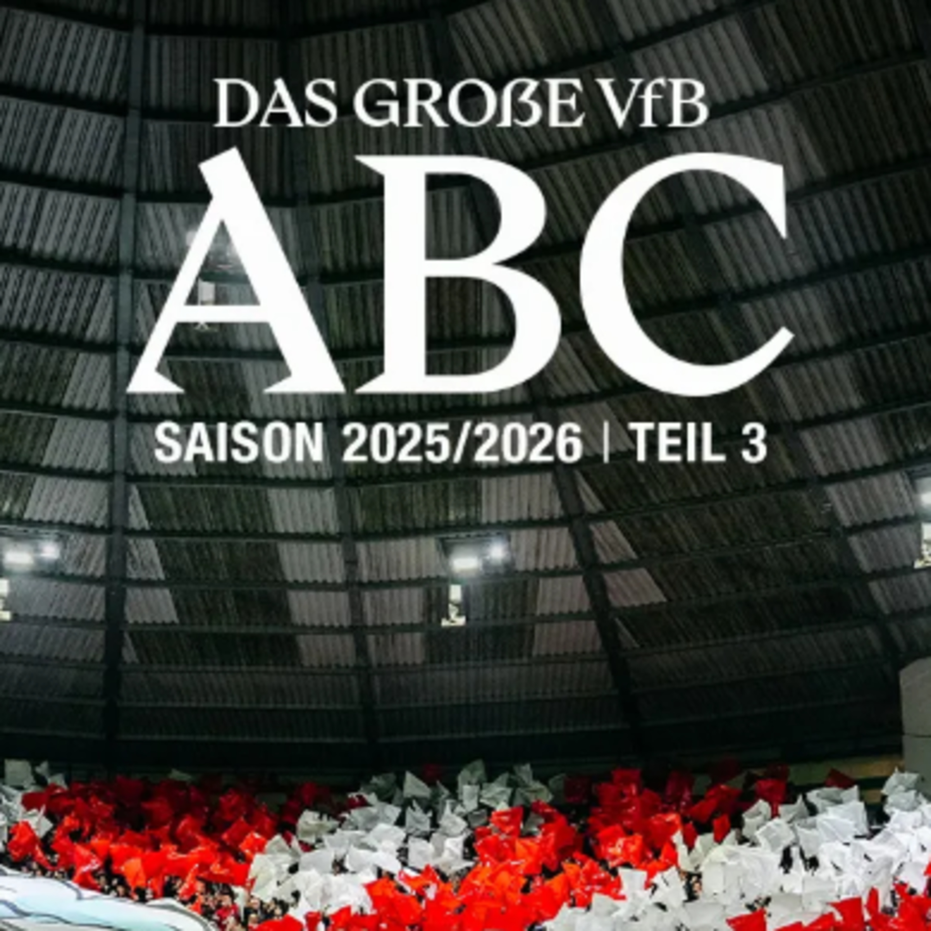 VfB Stuttgart Americana