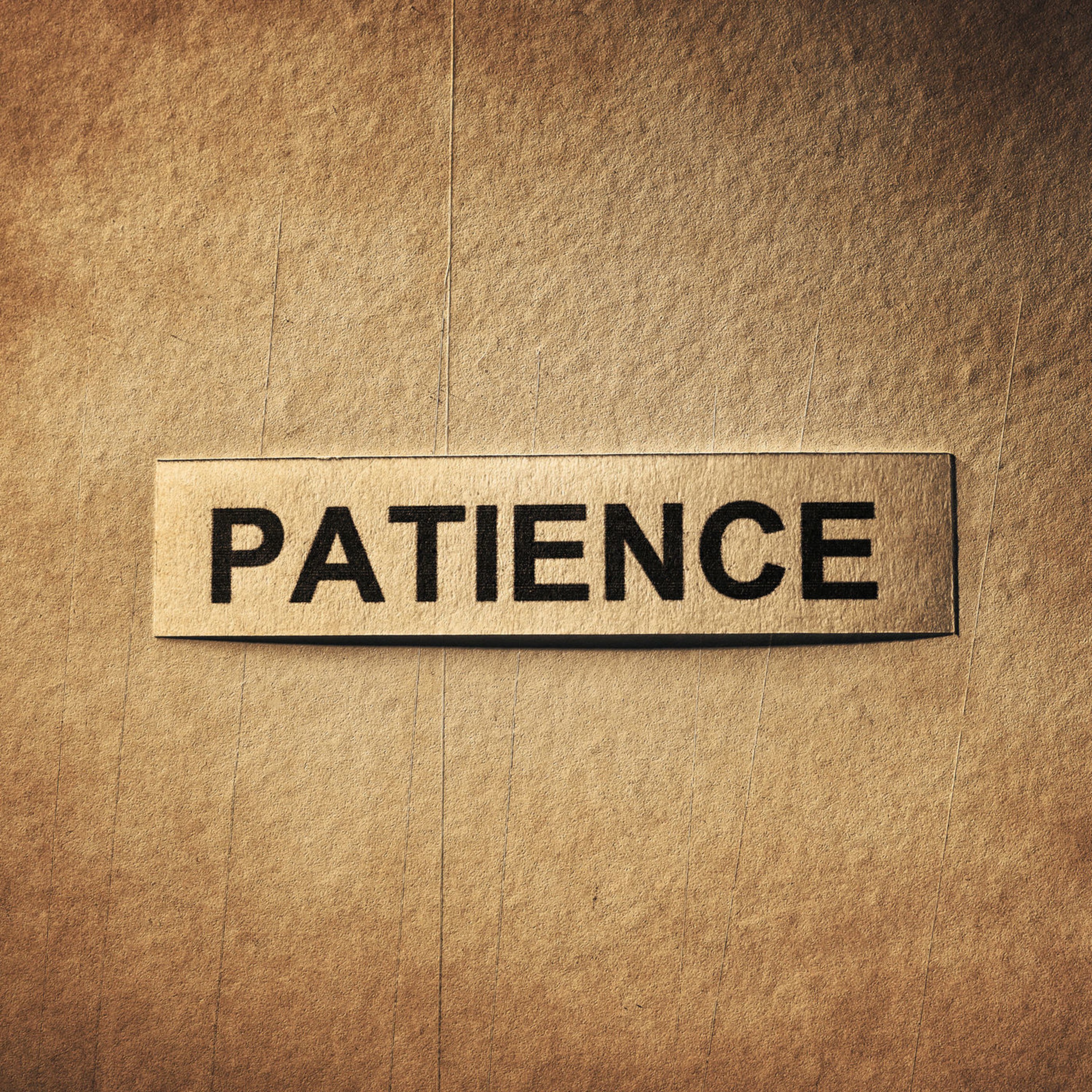A Little Patience episode artwork