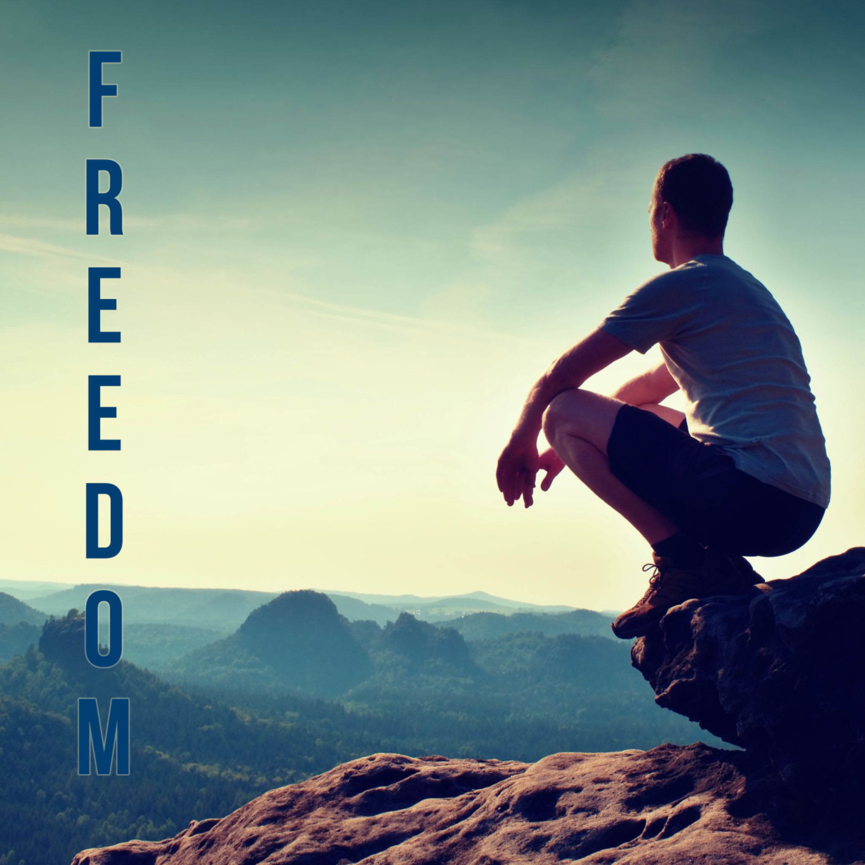Freedom episode artwork