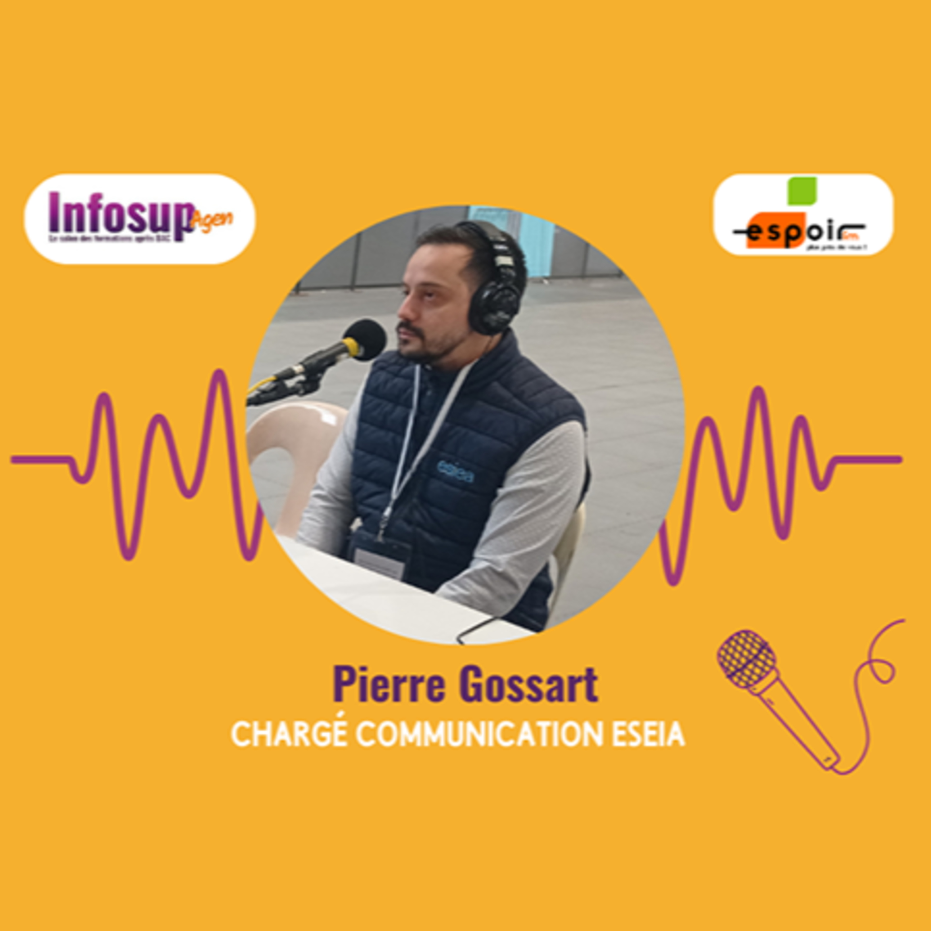 IDJ 20250128 Pierre GOSSART - ESIEA Agen à INFOSUP AV episode artwork