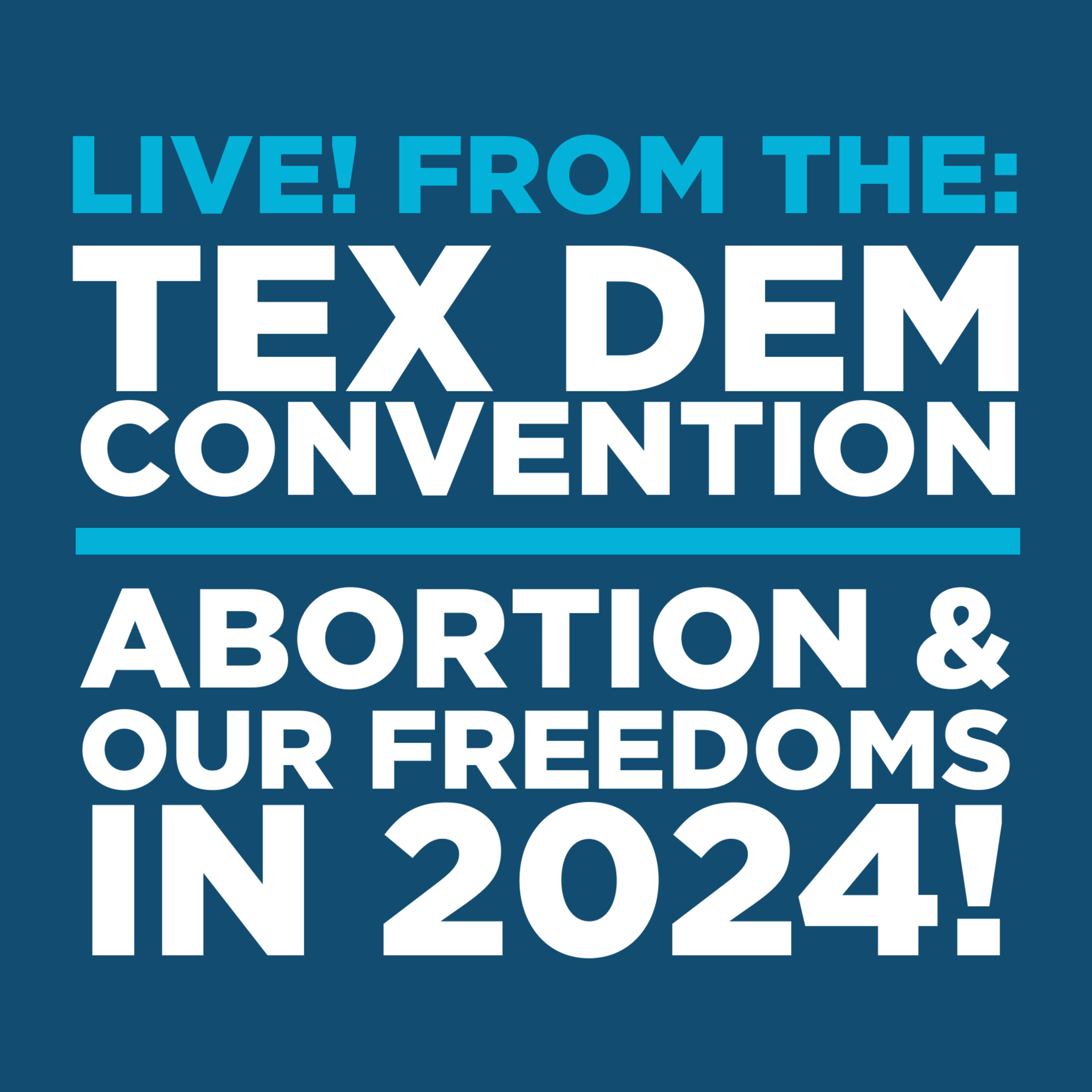 Happy Hour 157: Abortion On The Ballot, Part 3 - LIVE From The Texas Democratic Convention episode artwork