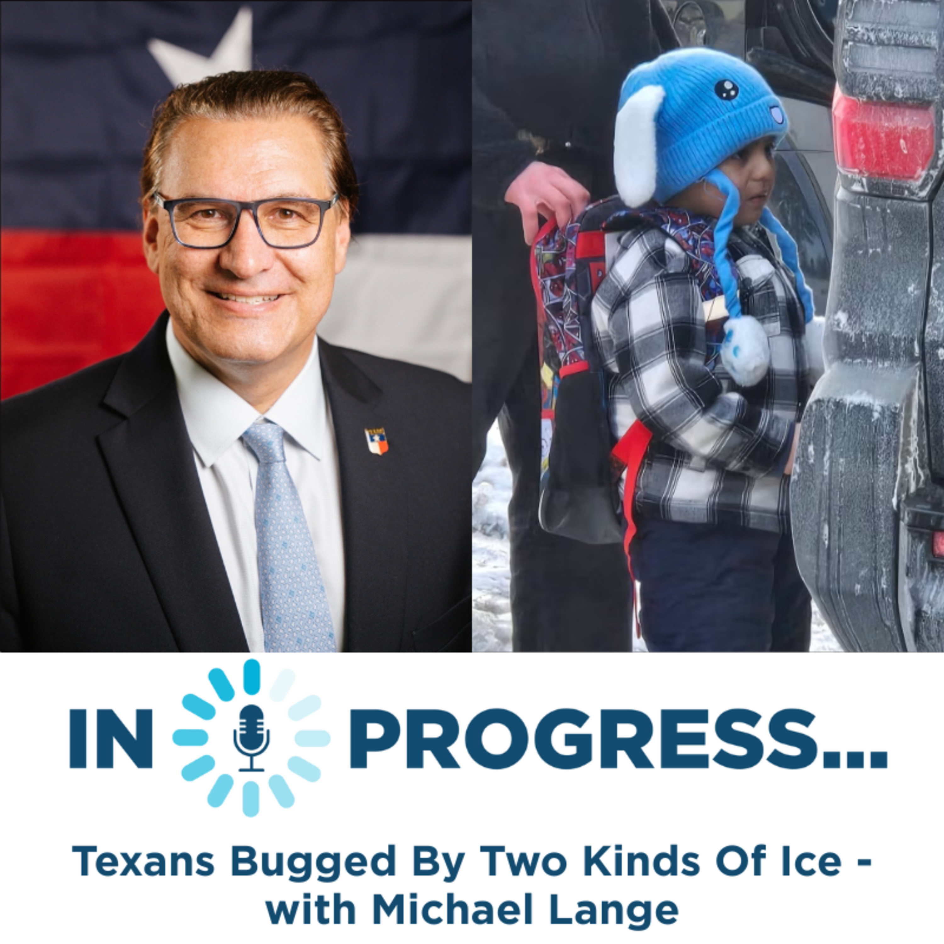 In Progress: Texans Bugged By Two Kinds Of Ice - with Michael Lange episode artwork