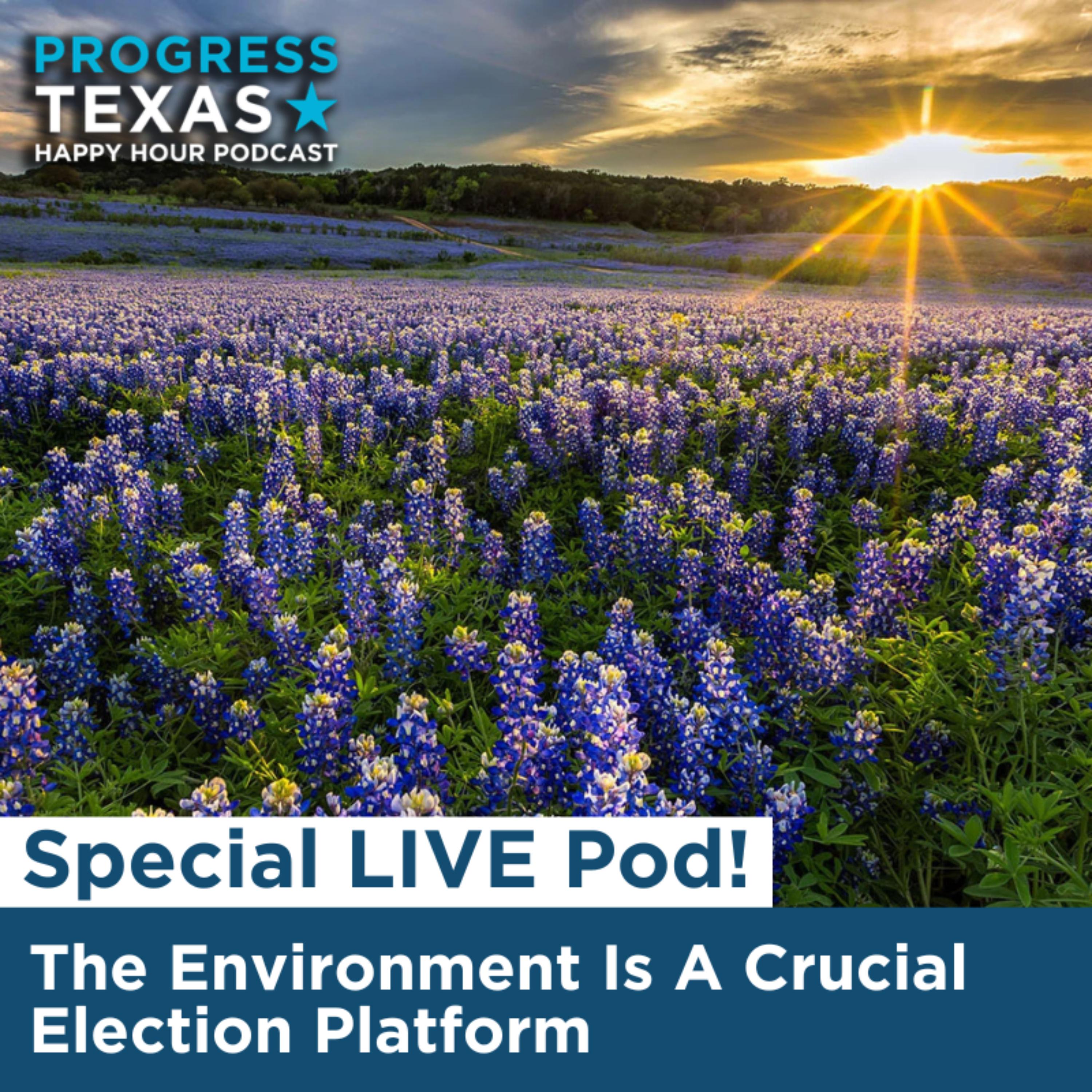 Special Live Pod: The Environment Is A Crucial Election Platform episode artwork