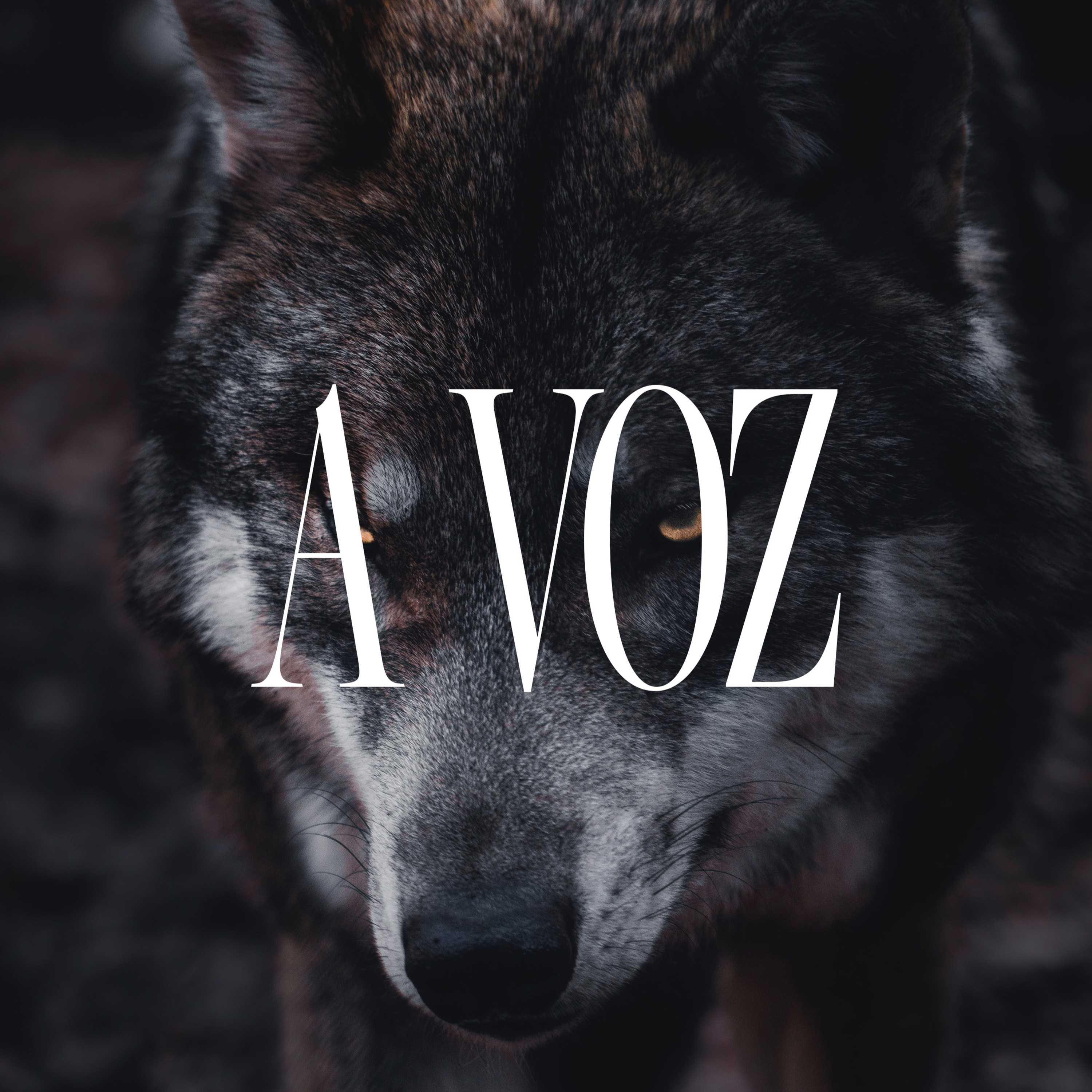 A VOZ: A voz do lobo I Pra. Natália Nunes episode artwork