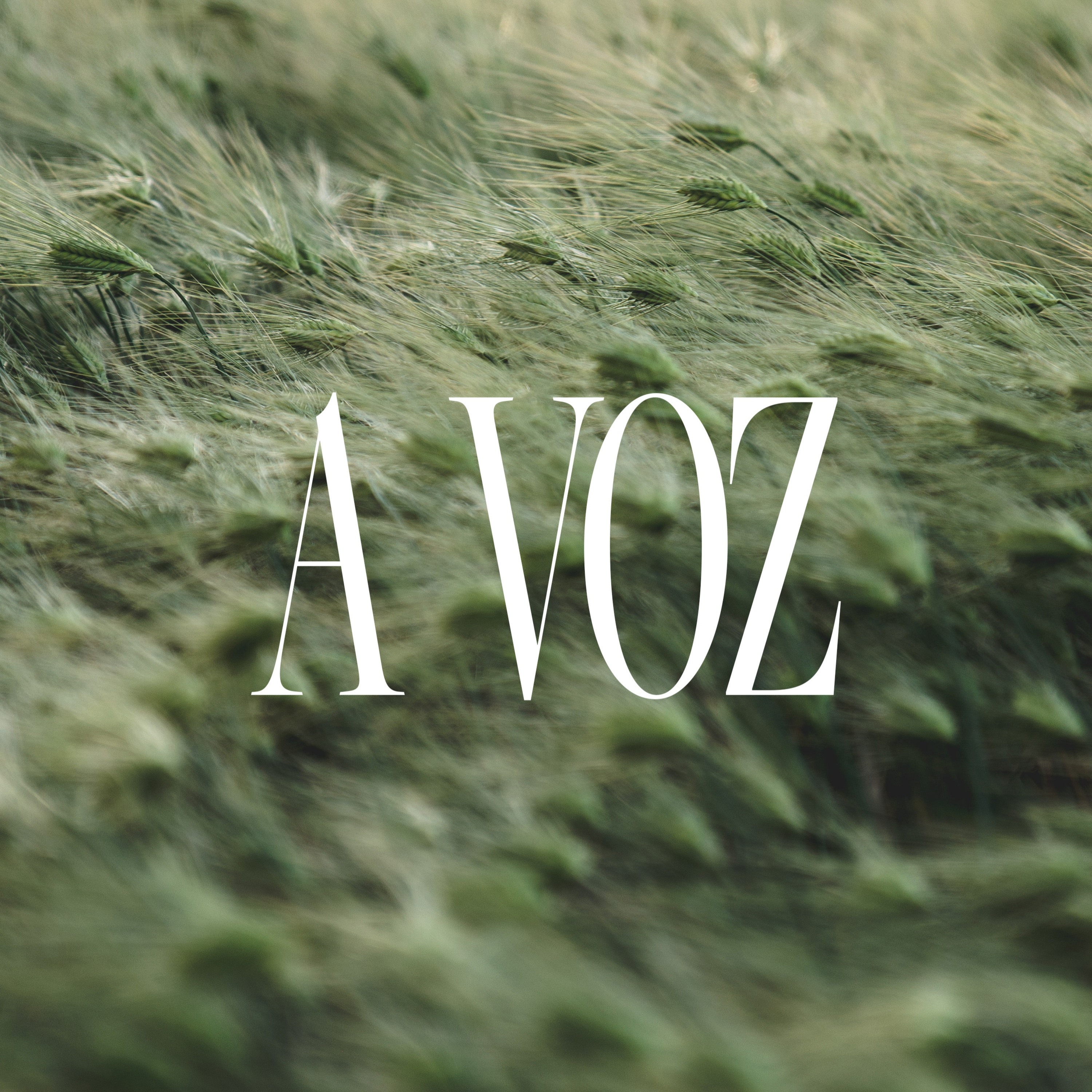 A VOZ: A voz do pastor I Pra. Beatriz Canguçu episode artwork