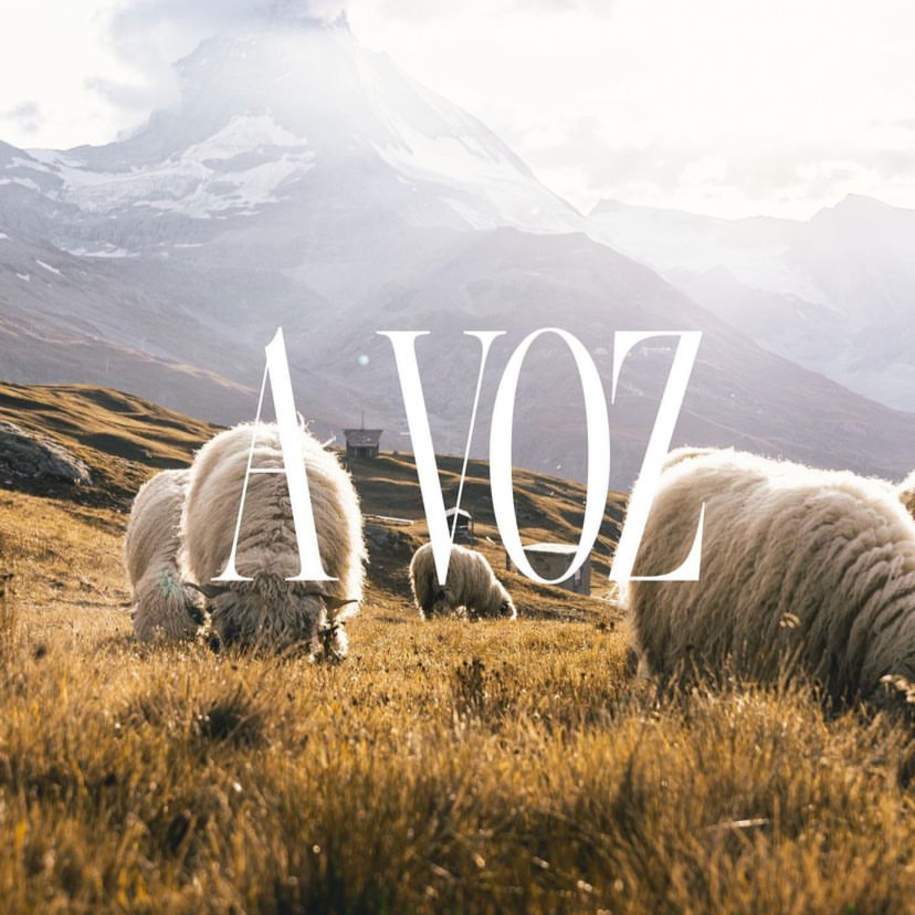 A VOZ: A vida da ovelha | Pra. Gleici Montanini episode artwork