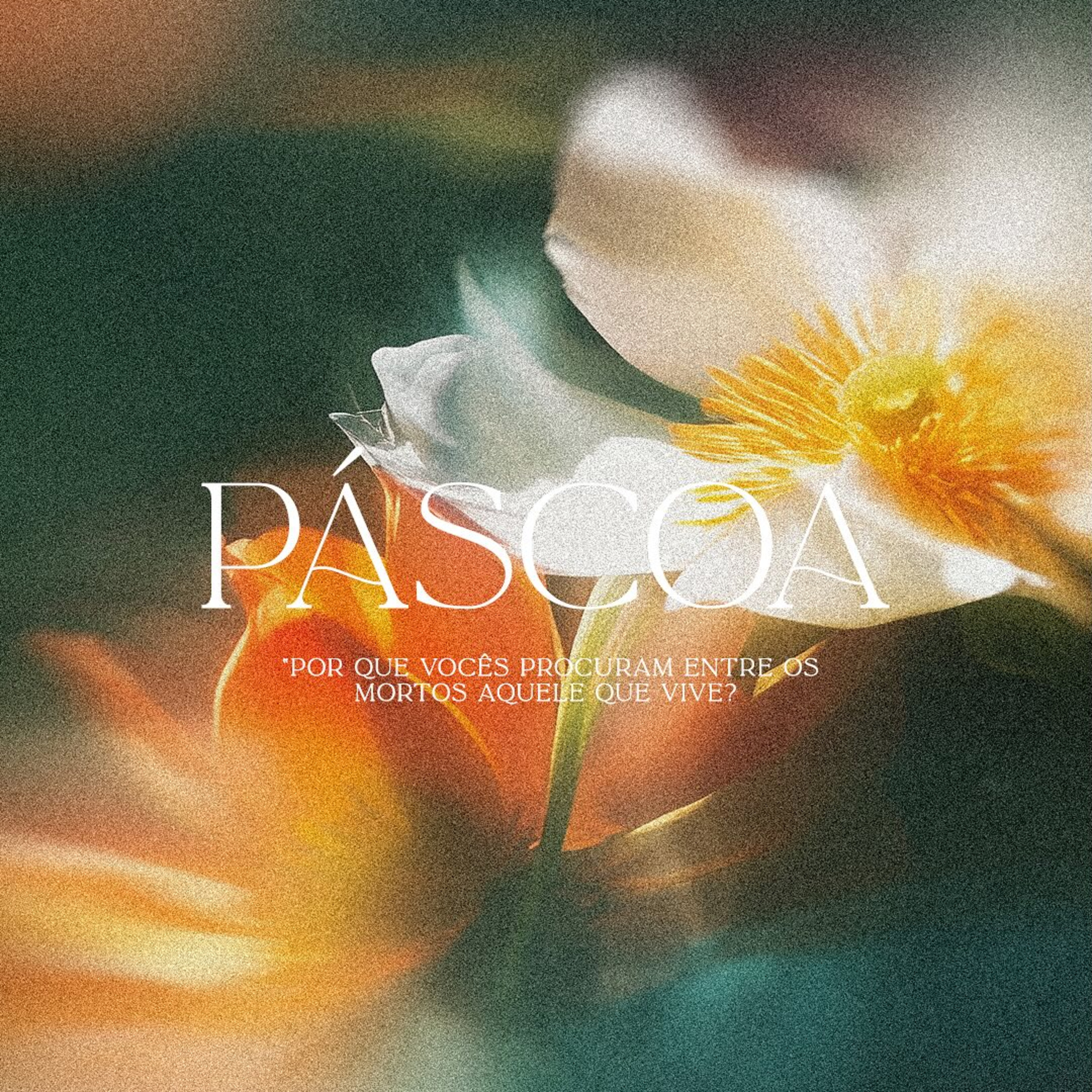 Pr. Filipe Pimentel I Páscoa episode artwork