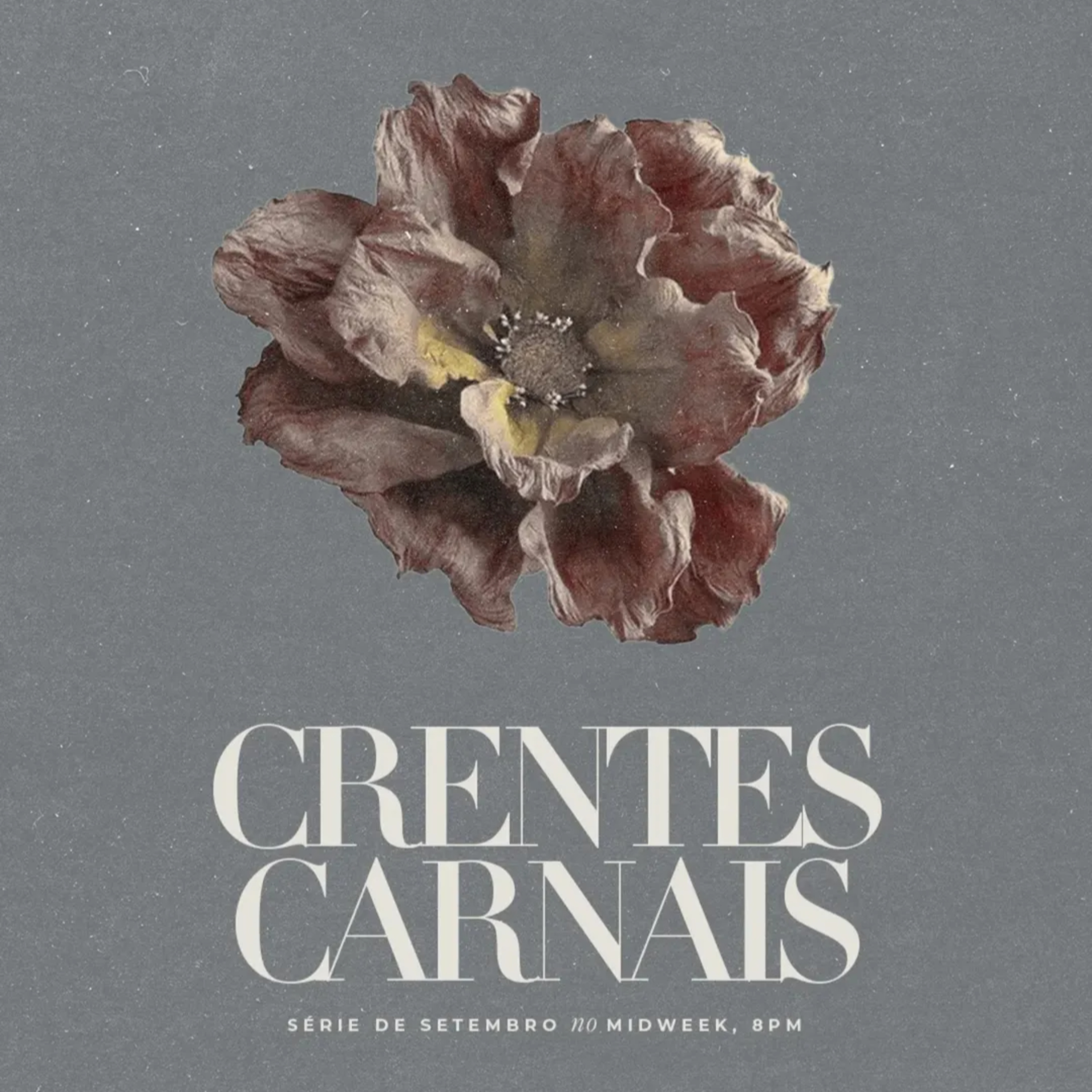 Pra. Iasmim de Assis I Crentes Carnais #05 episode artwork