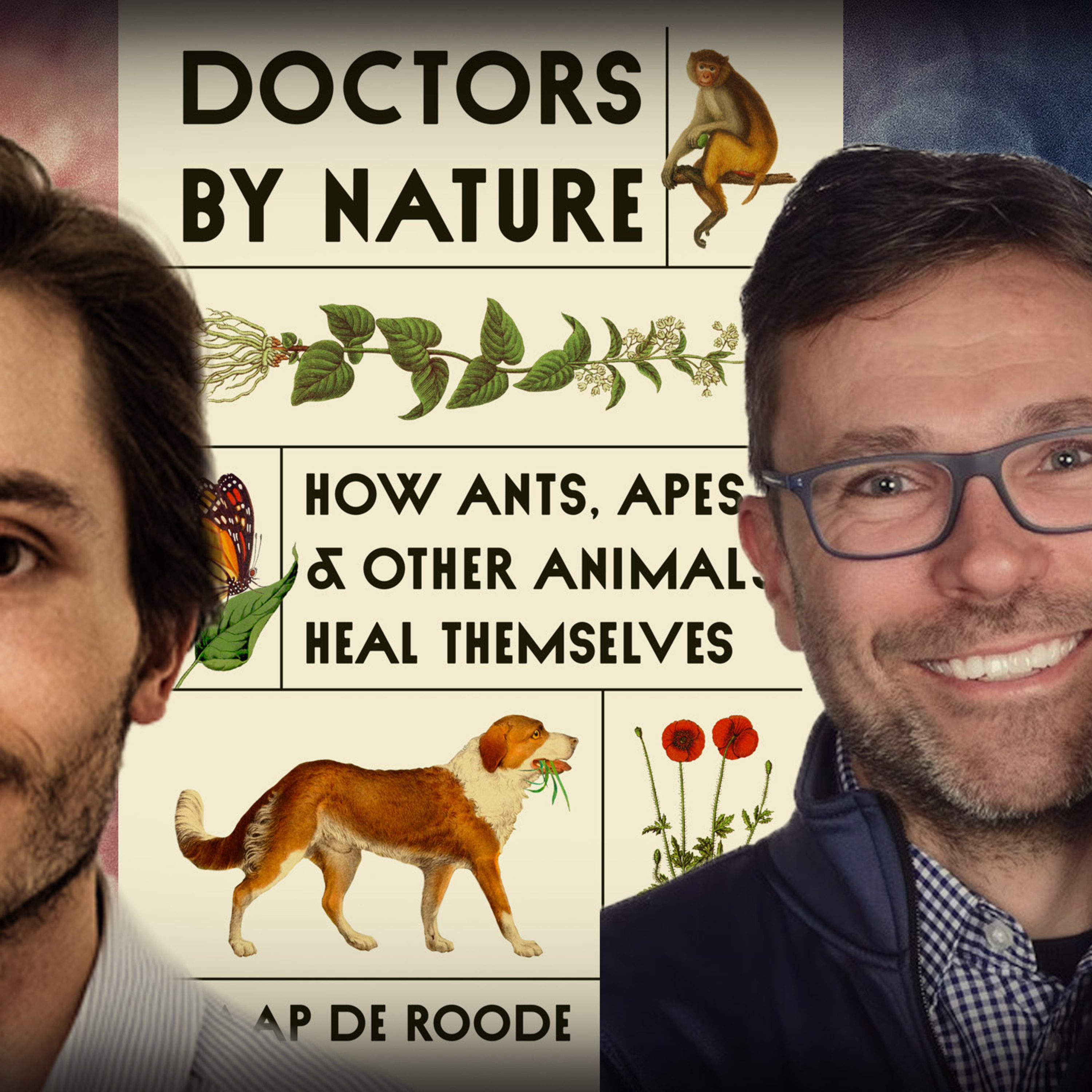 #1179 Jaap de Roode - Doctors by Nature: How Ants, Apes, and Other Animals Heal Themselves