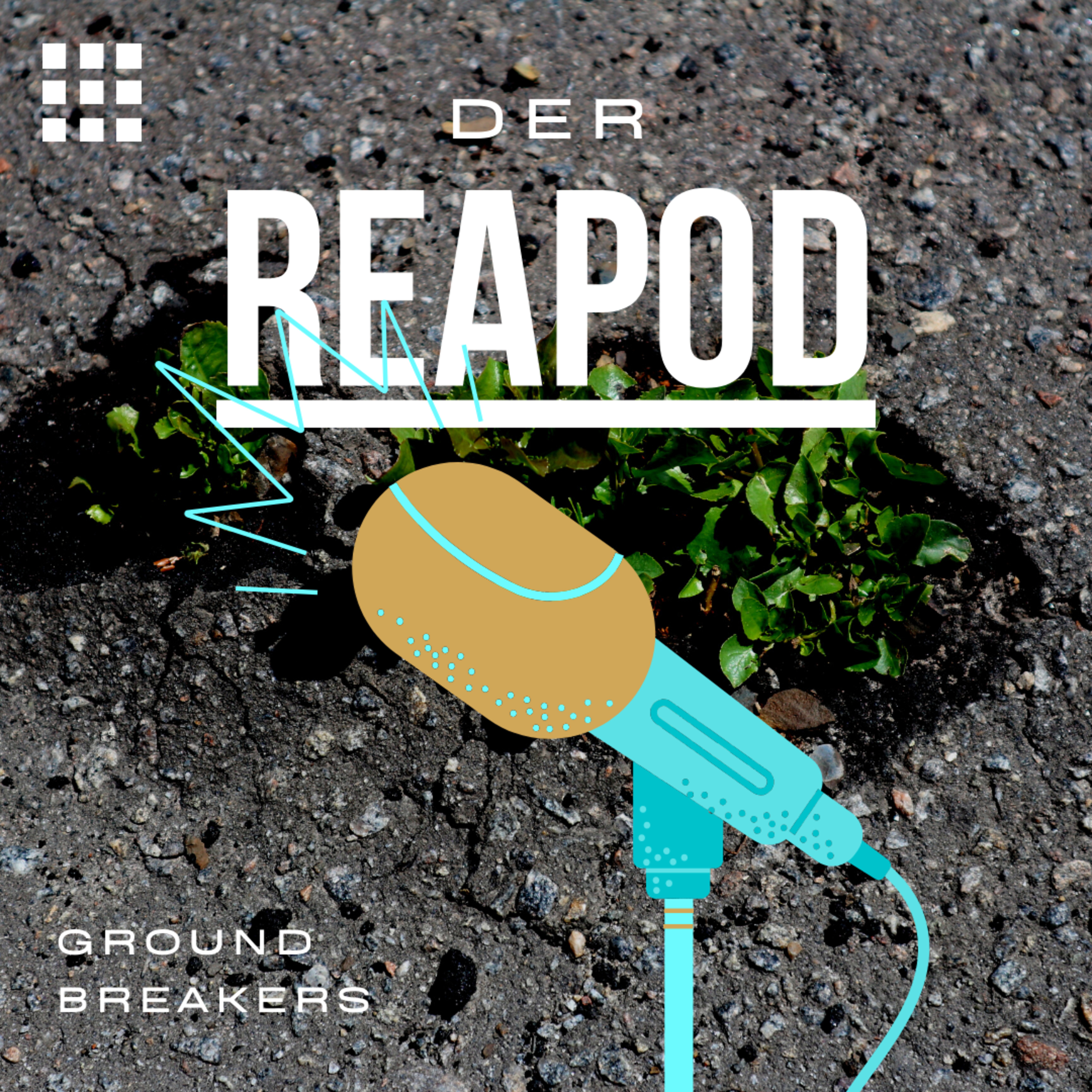 DER REAPOD - Der Real Estate Podcast über digitale Transformation.
