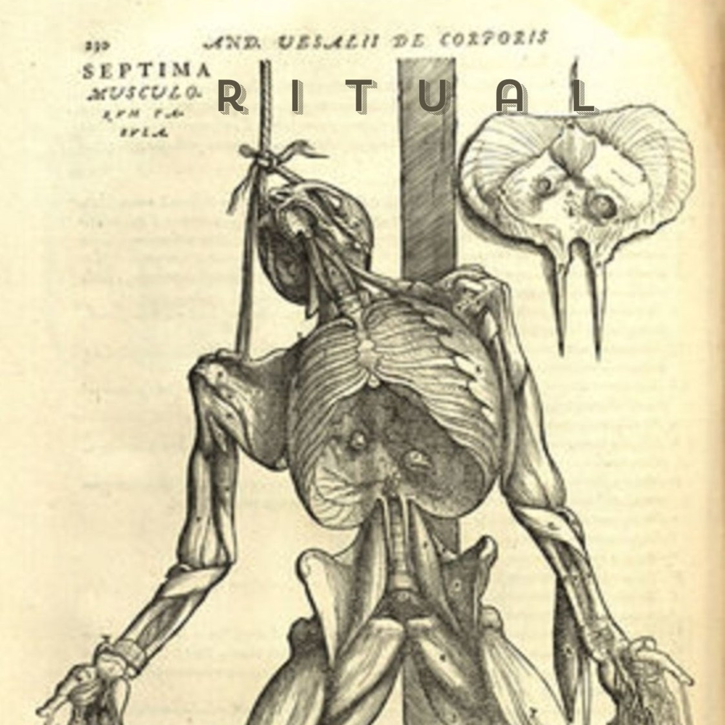 ritual by Sean Kilpatrick (Poetry Audiobook)