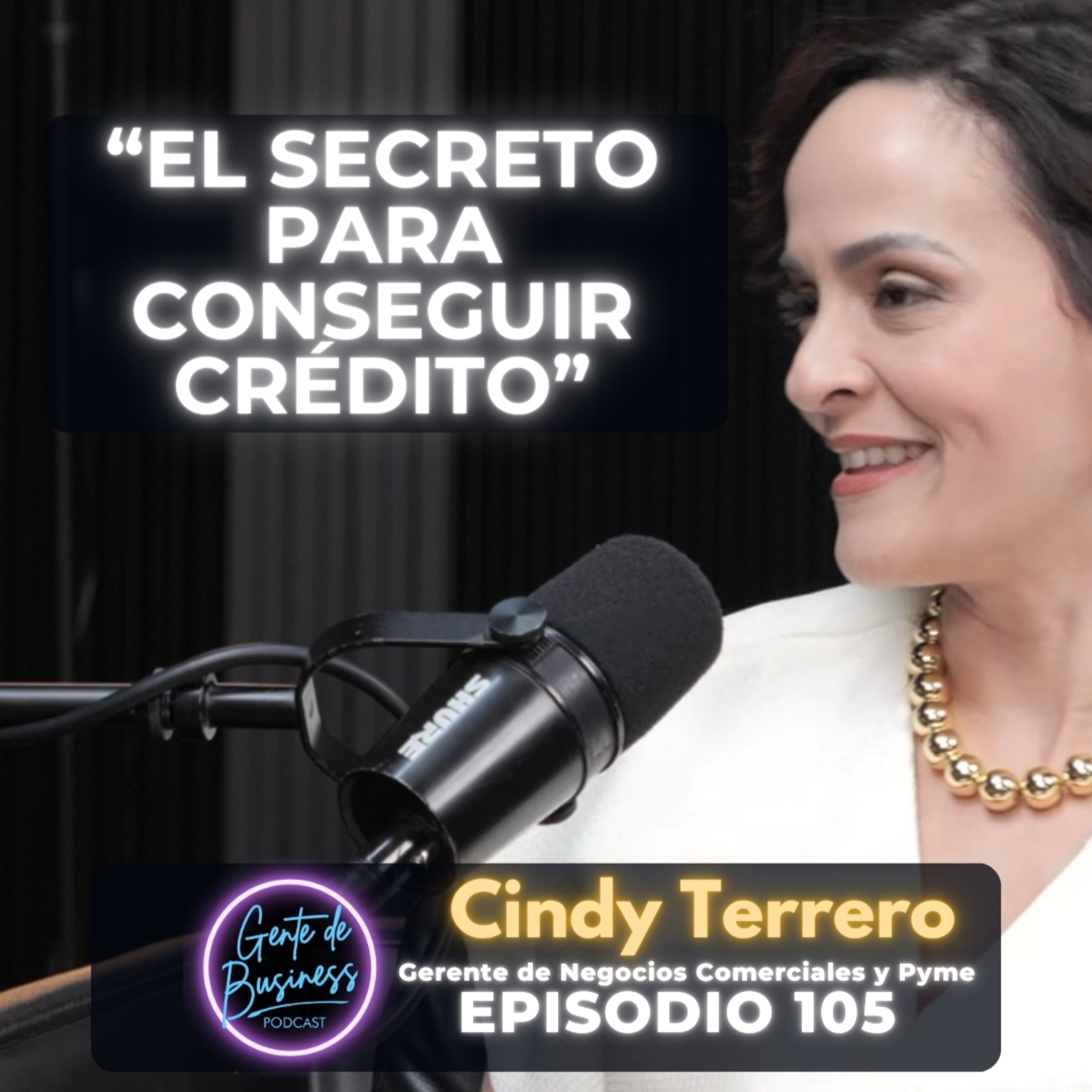 EP. 105, Cómo Conseguir un Préstamo para tu PyME? | Consejos de una Experta Bancaria, Cyndy Terrero 🚀💰"