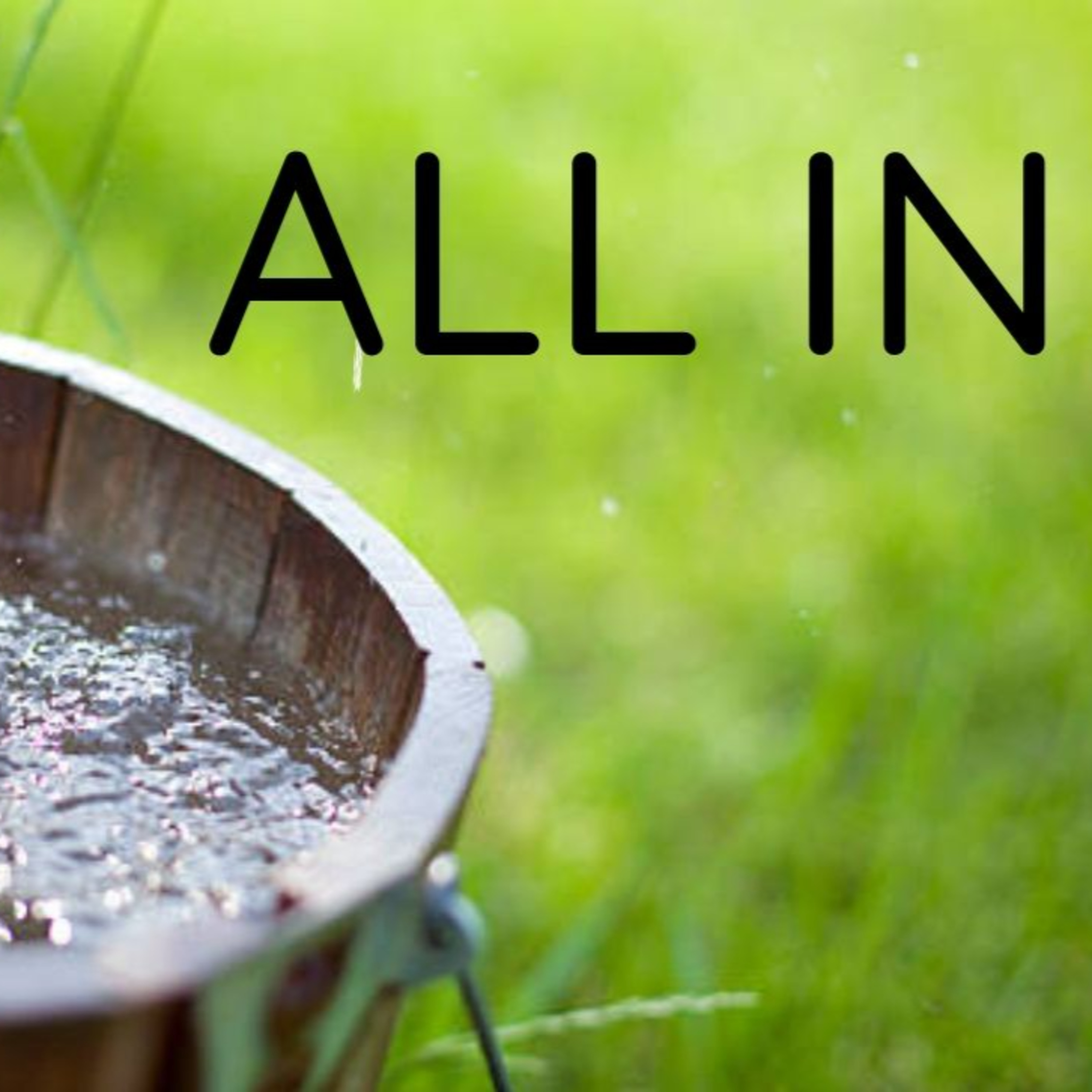 All In - Revelation 3:14 to 22 episode artwork