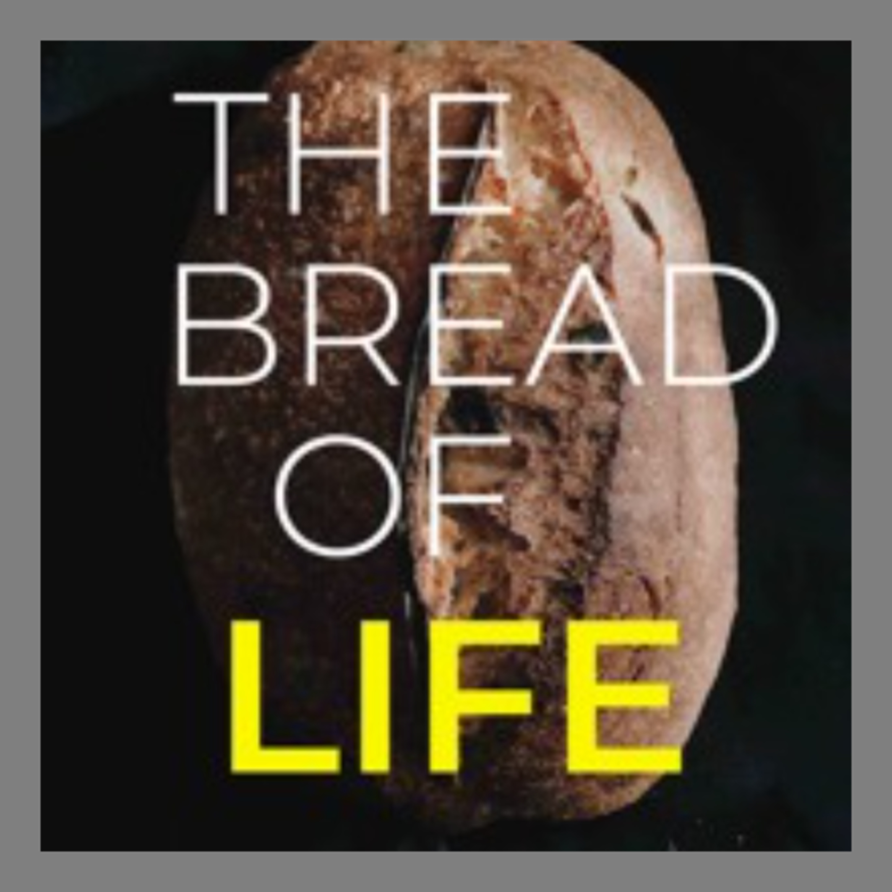 The Bread of Life: The Jesus Way -Rev Katrina Lambert episode artwork