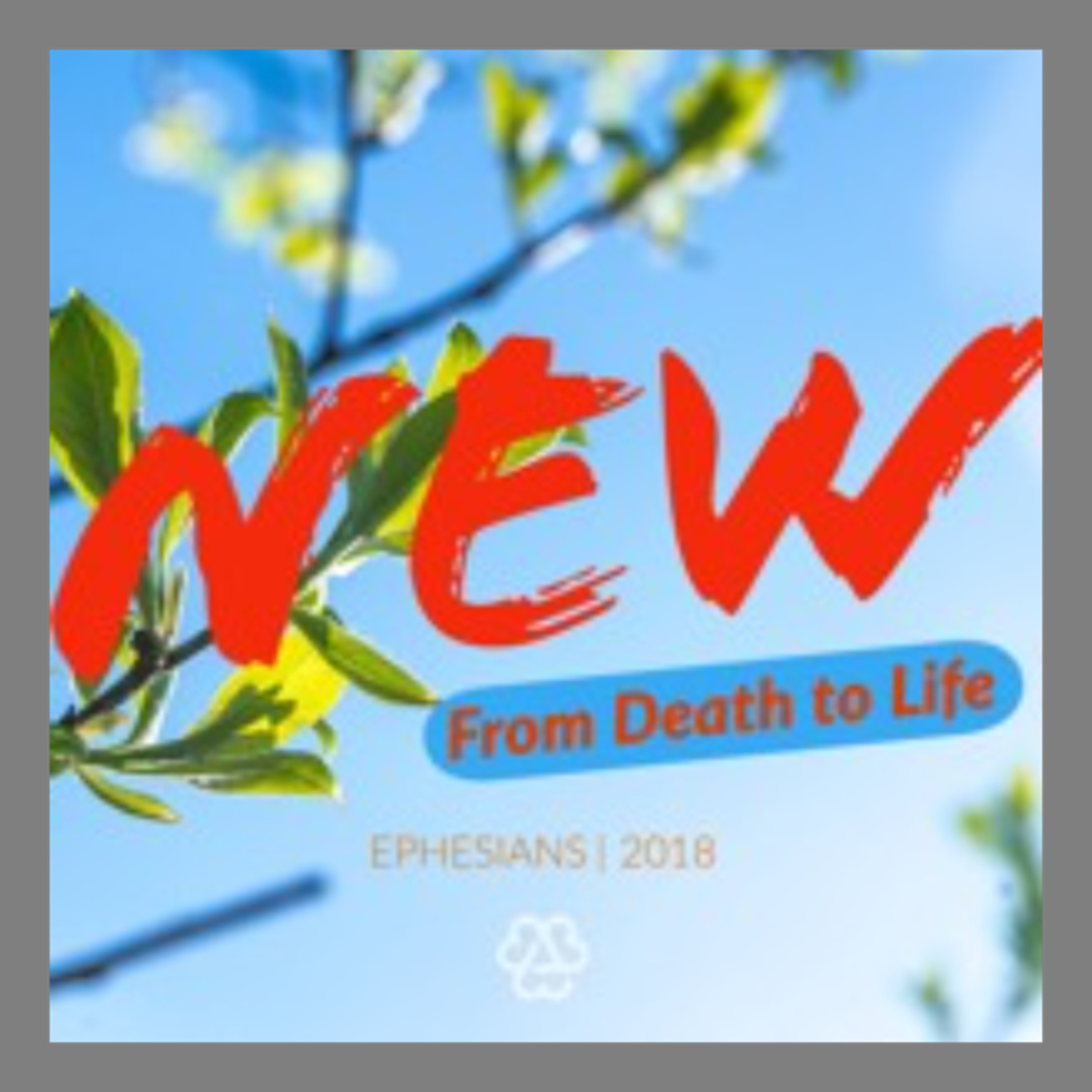 New From Death to Life: Ephesians - A Prayer for Albert Park - Rev Jonathan Stark episode artwork